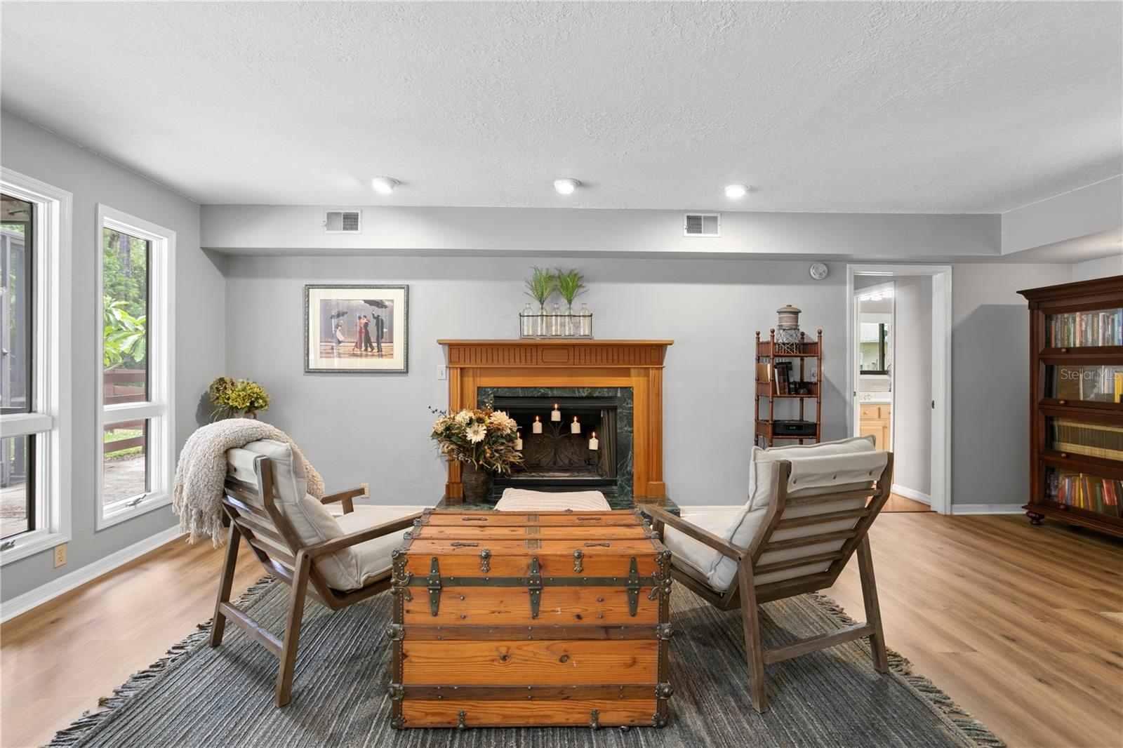 Living room and Fireplace