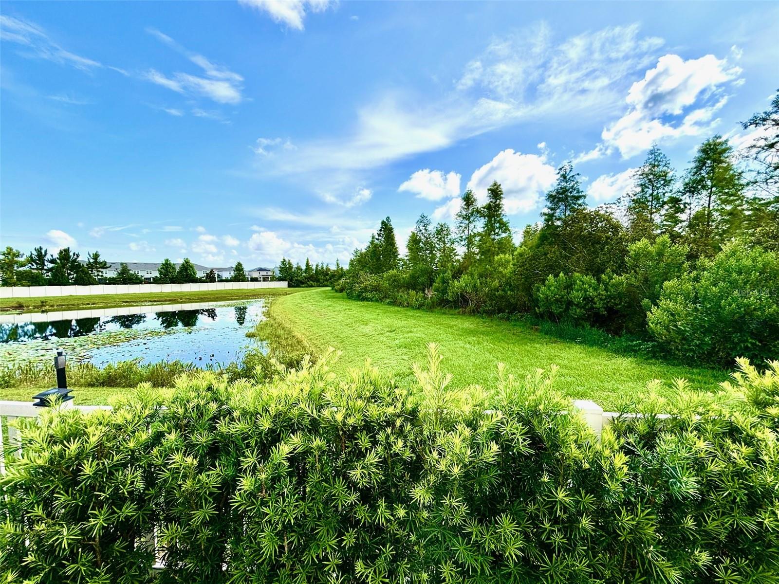 Conservation area