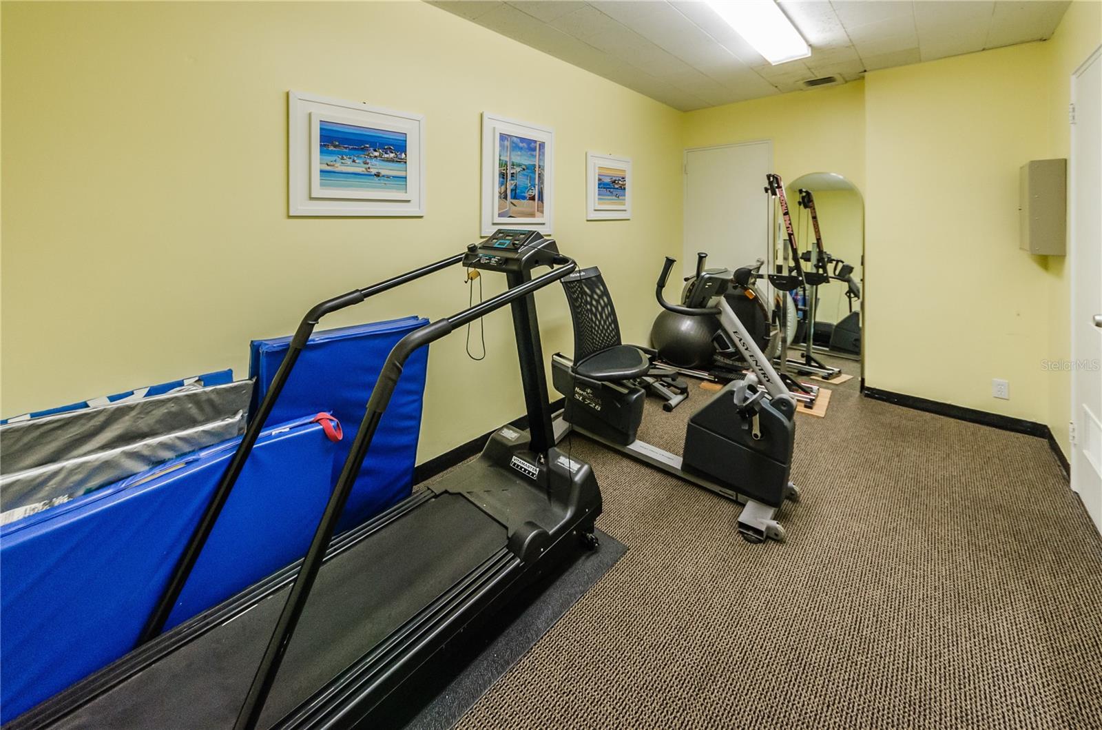 Gym