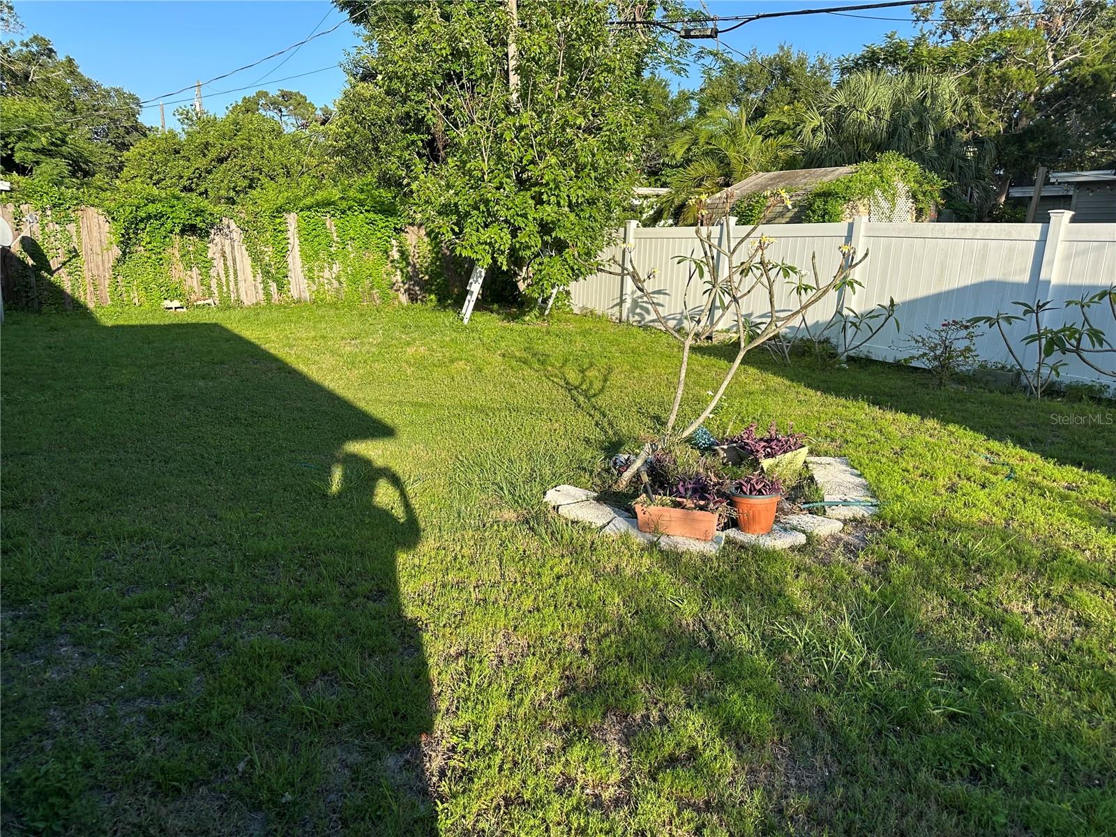 Large Backyard Full of Potential!