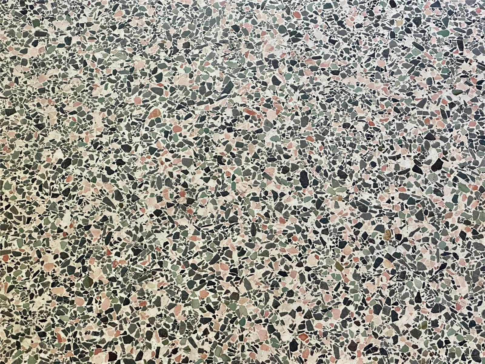 Gorgeous terrazzo floors throughout home!
