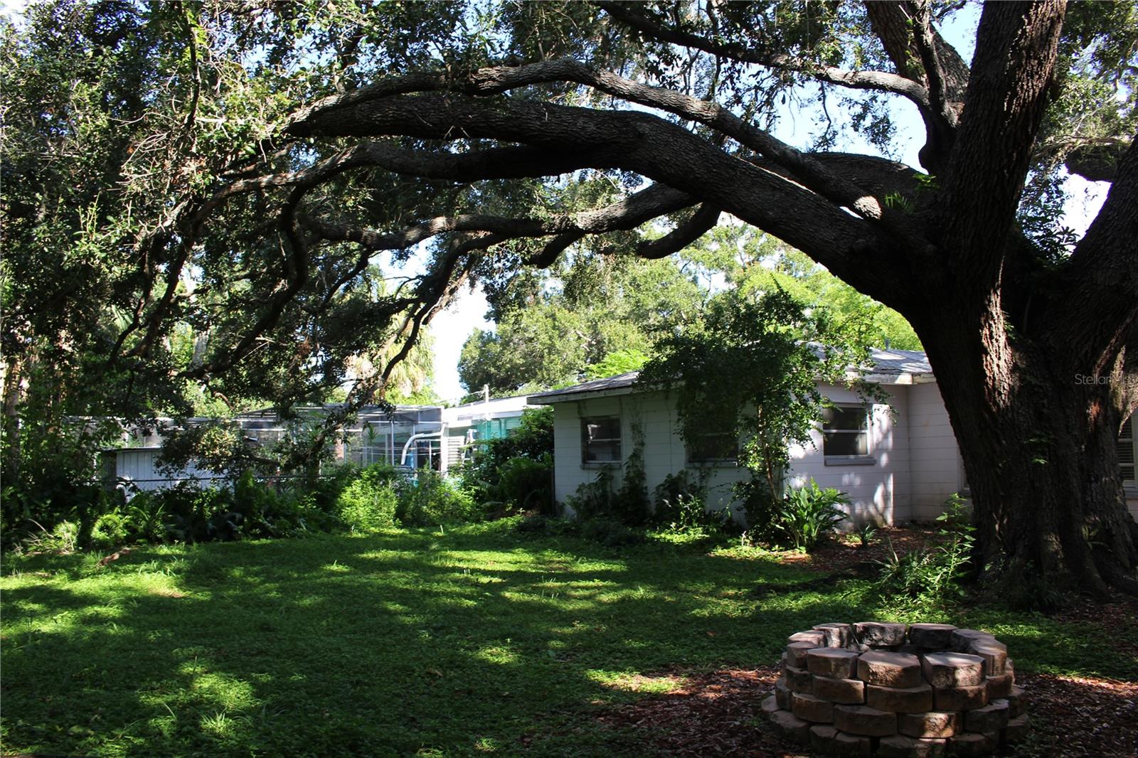 Backyard