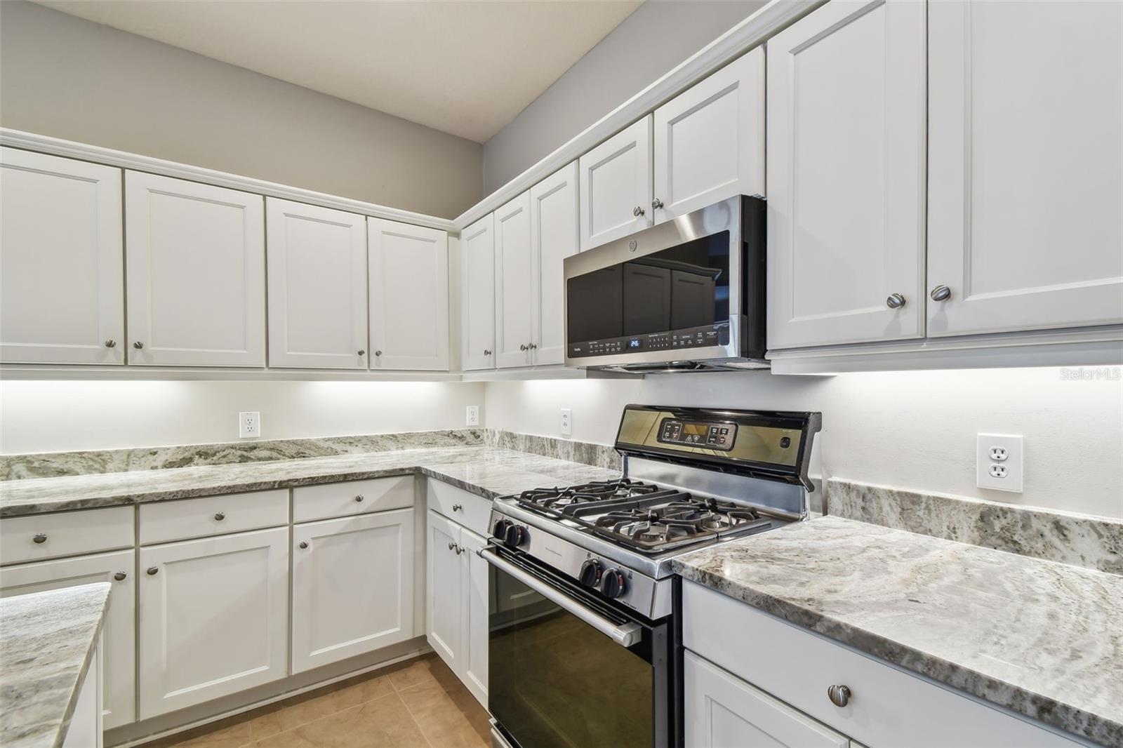 Kitchen gas stove