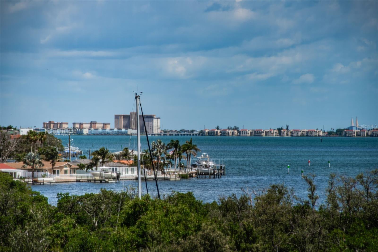View of Boca Ciega Bar from Screened in patio