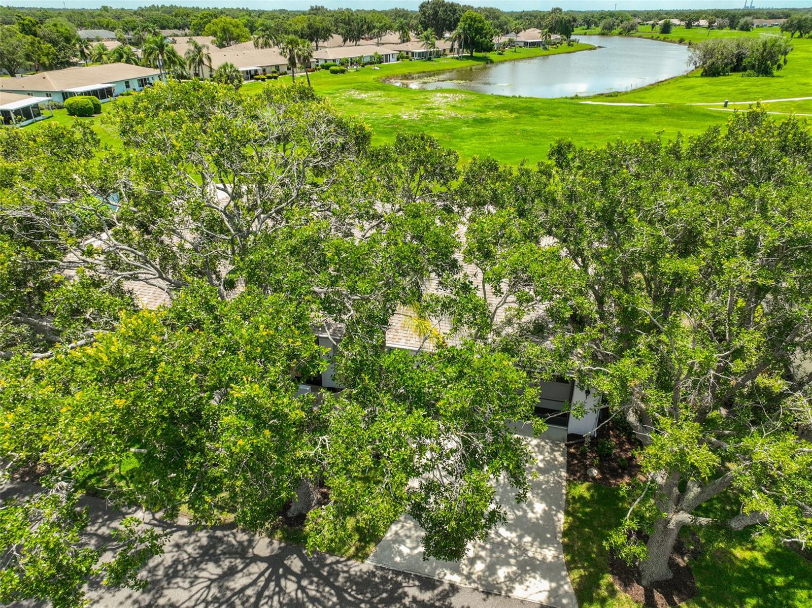 Aerial Rear View