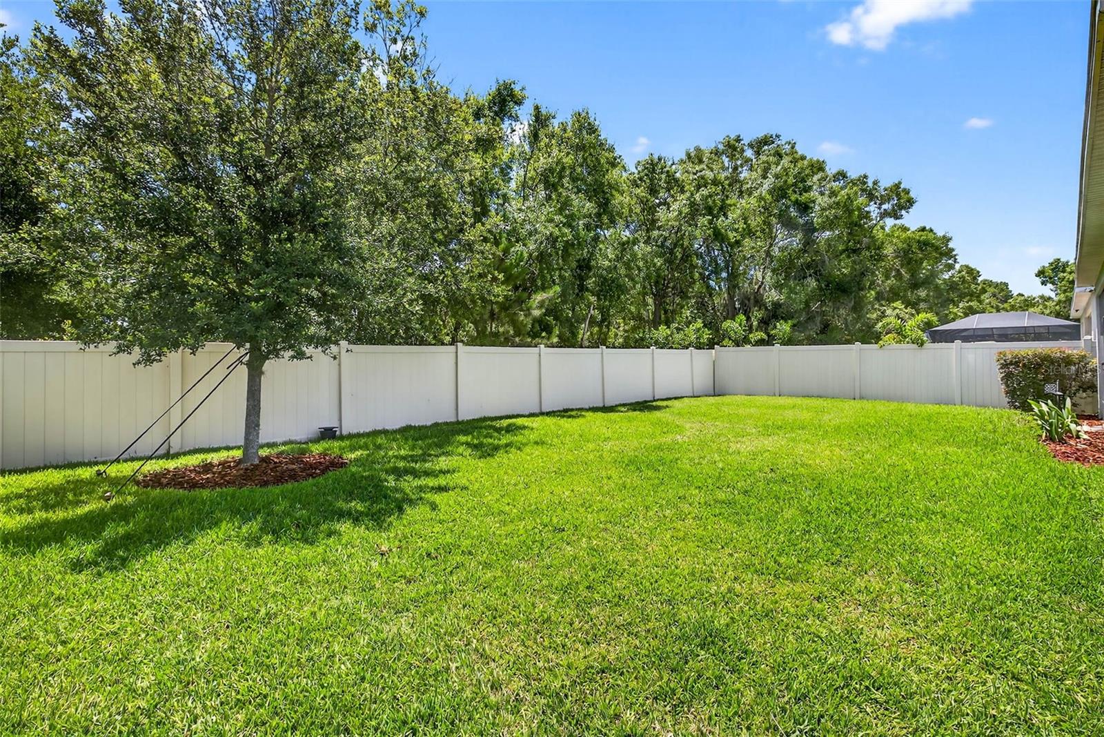 Enormous  fenced in backyard