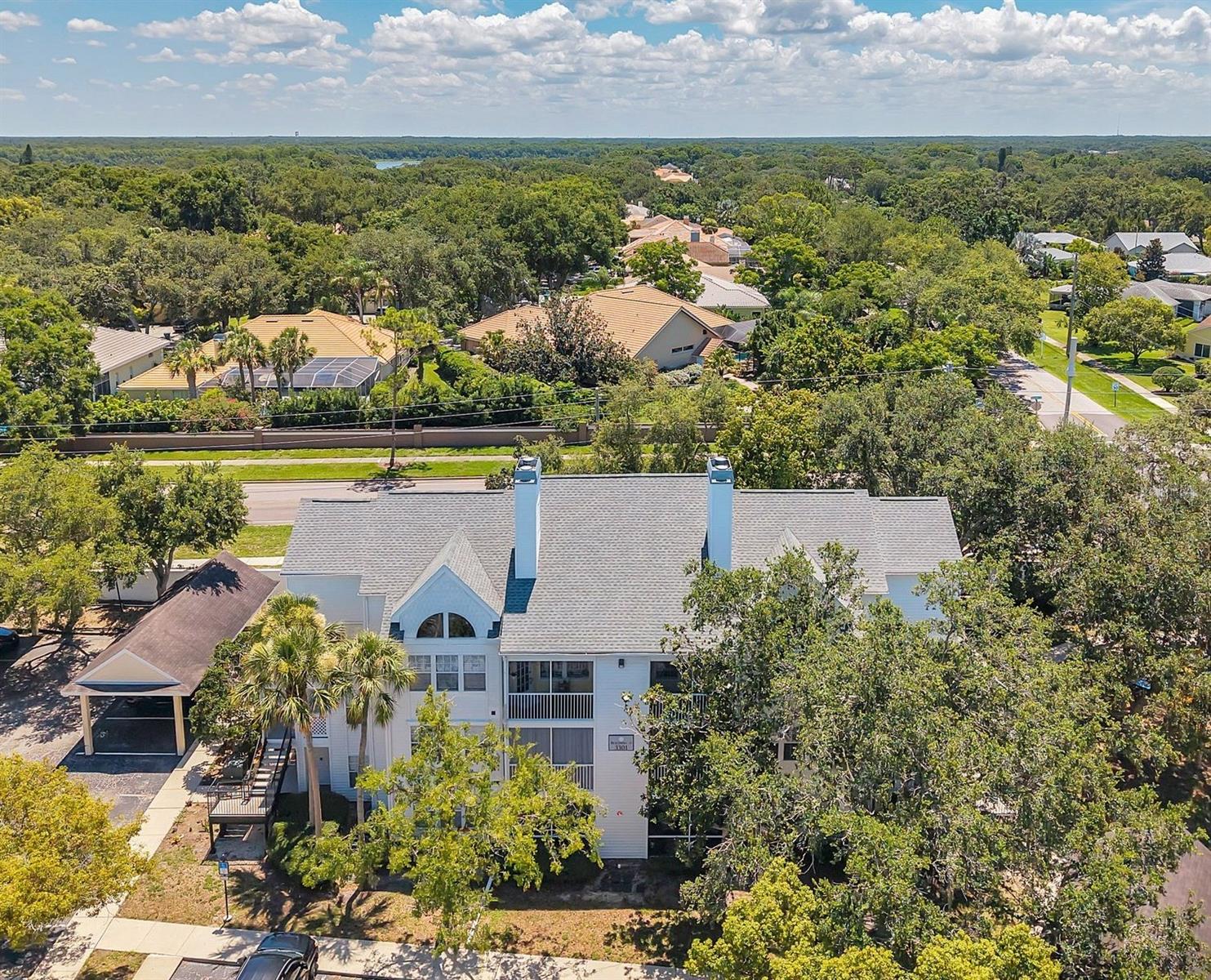 Ideal Palm Harbor location