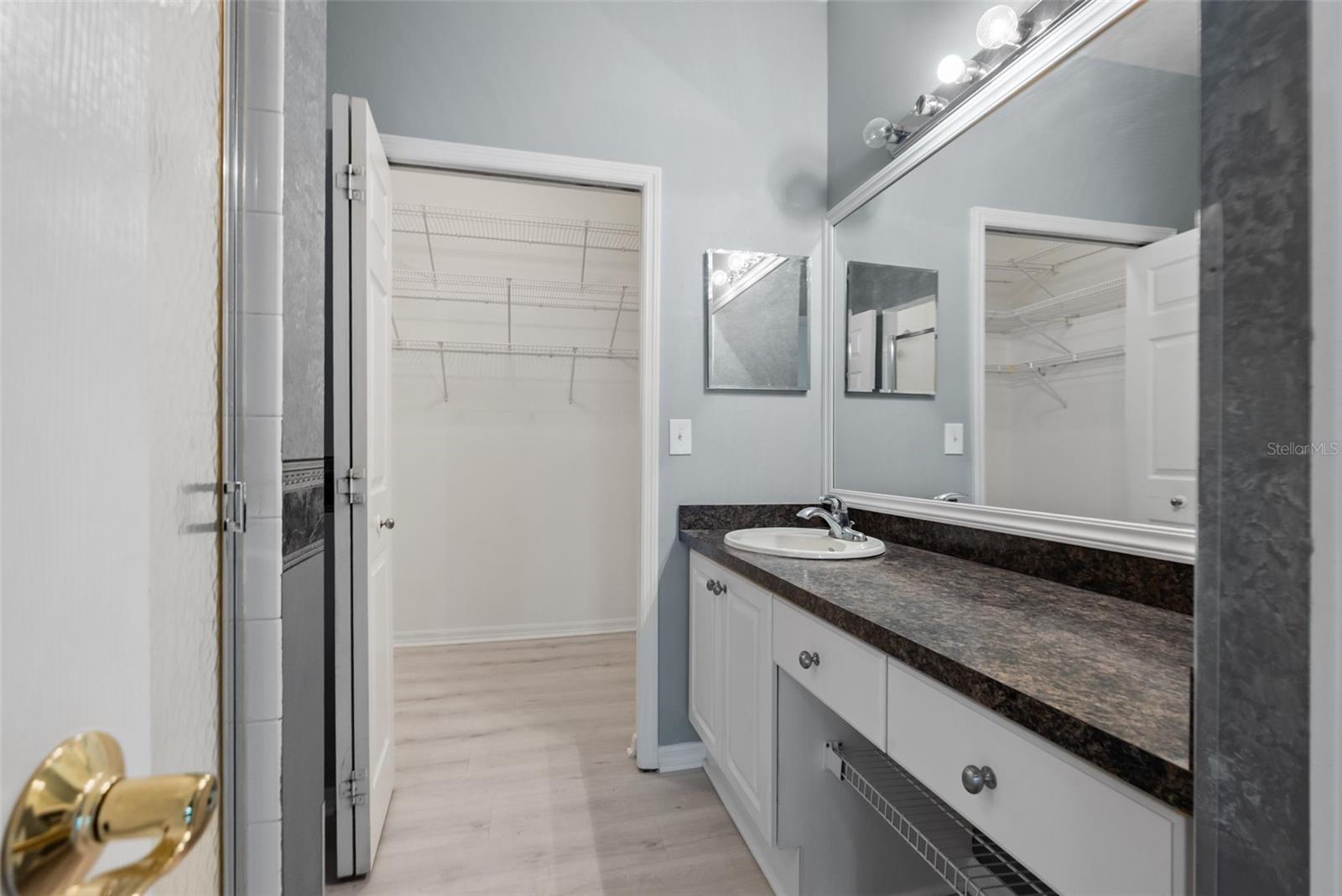 primary bathroom(downstairs)