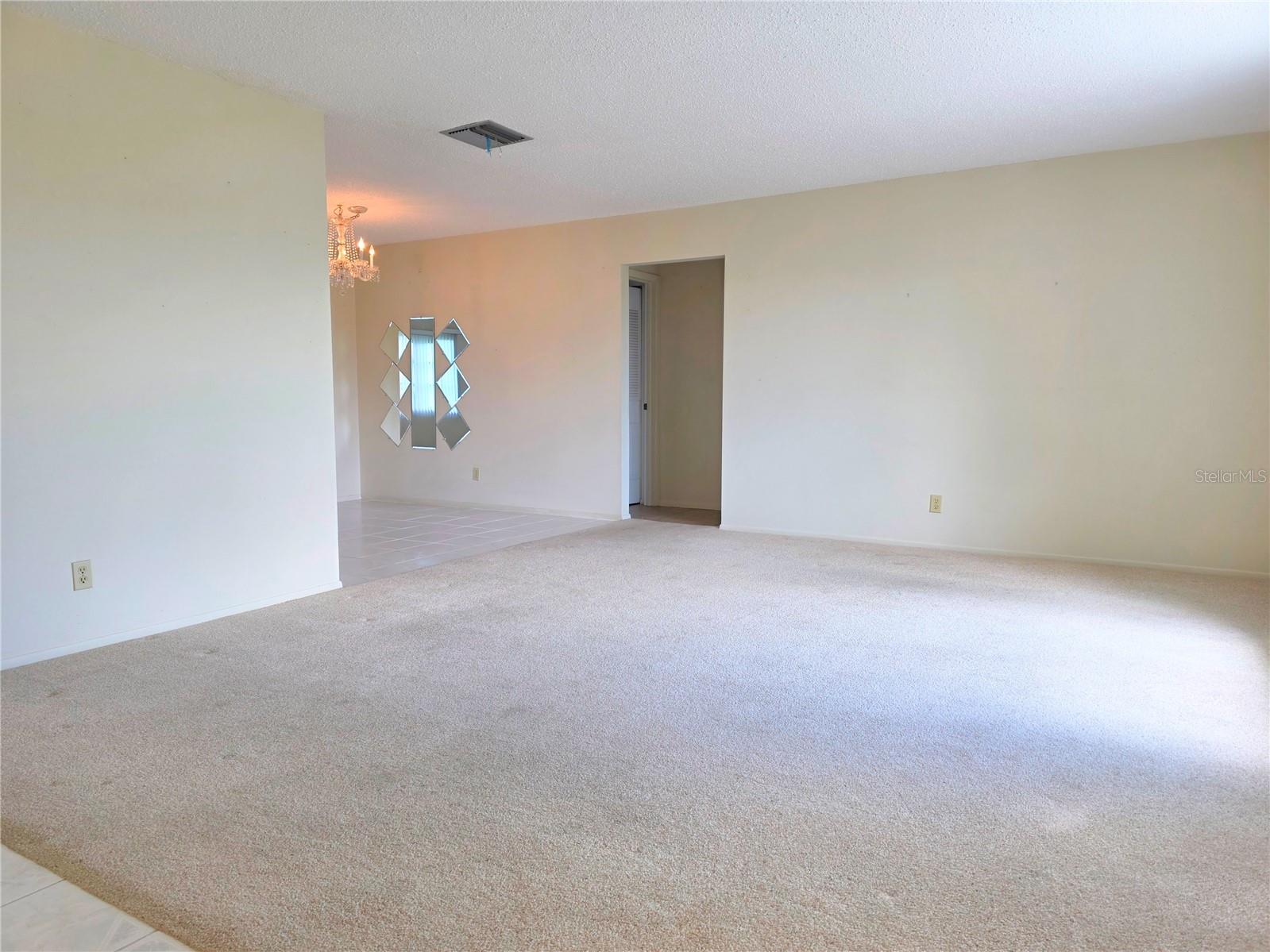 Large Living room