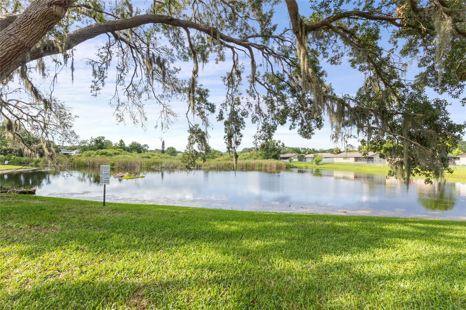 Serene Pond