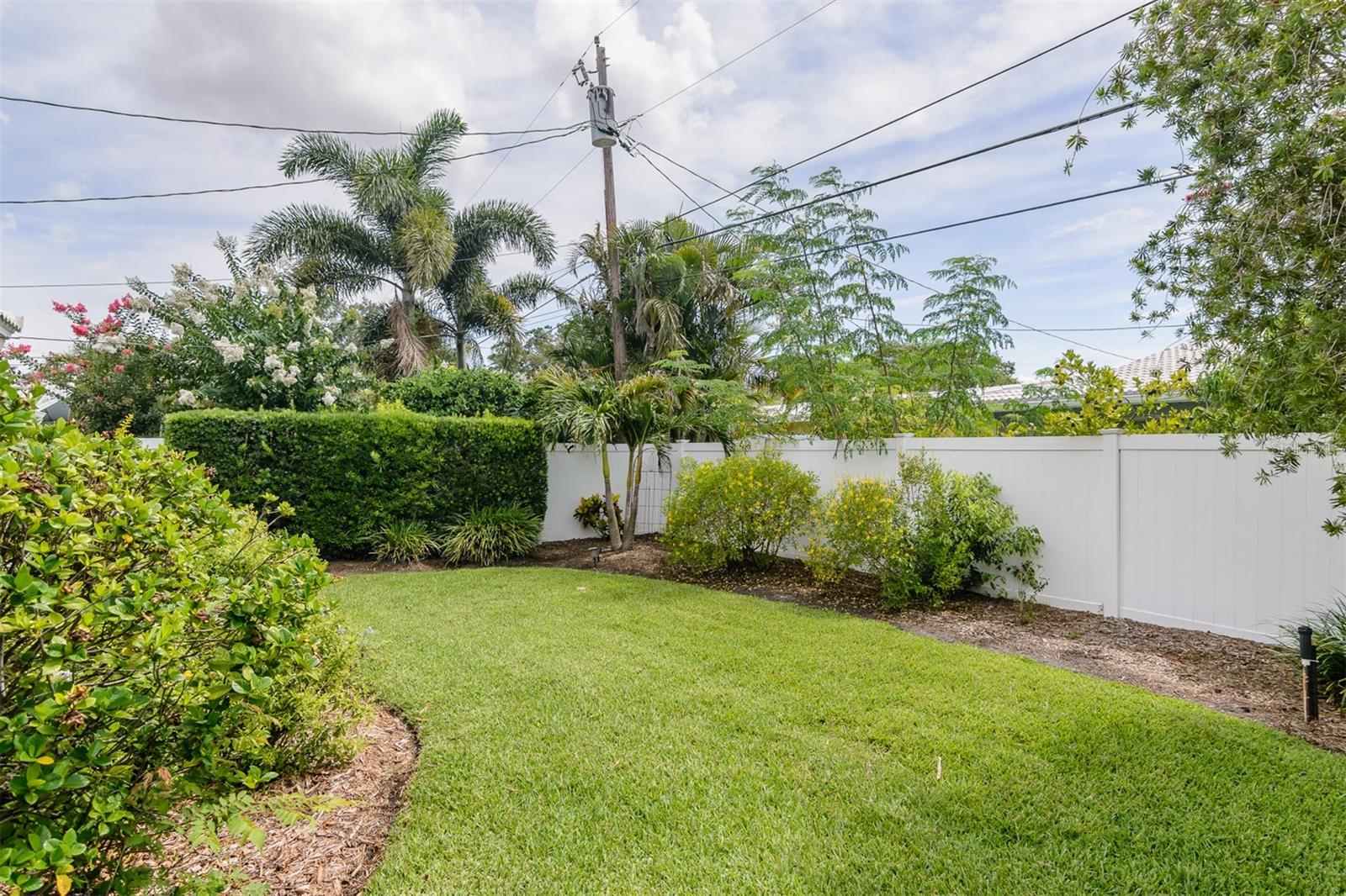 back yard