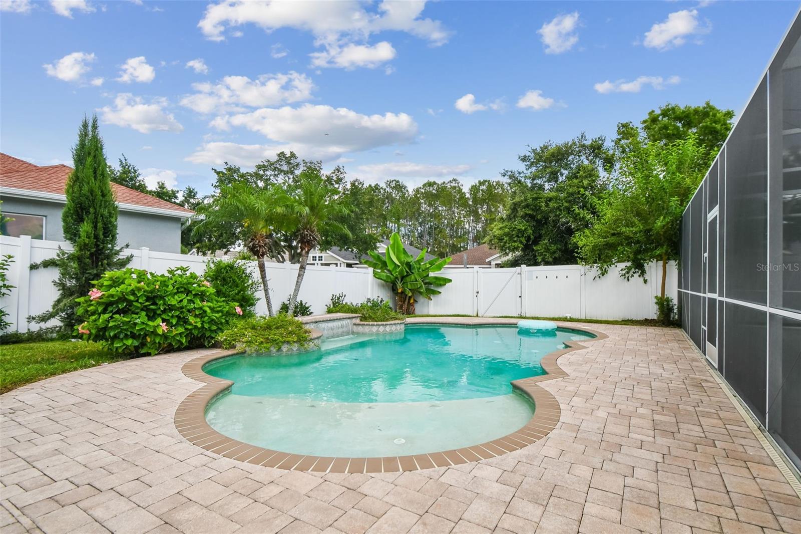 Room to play and swim!