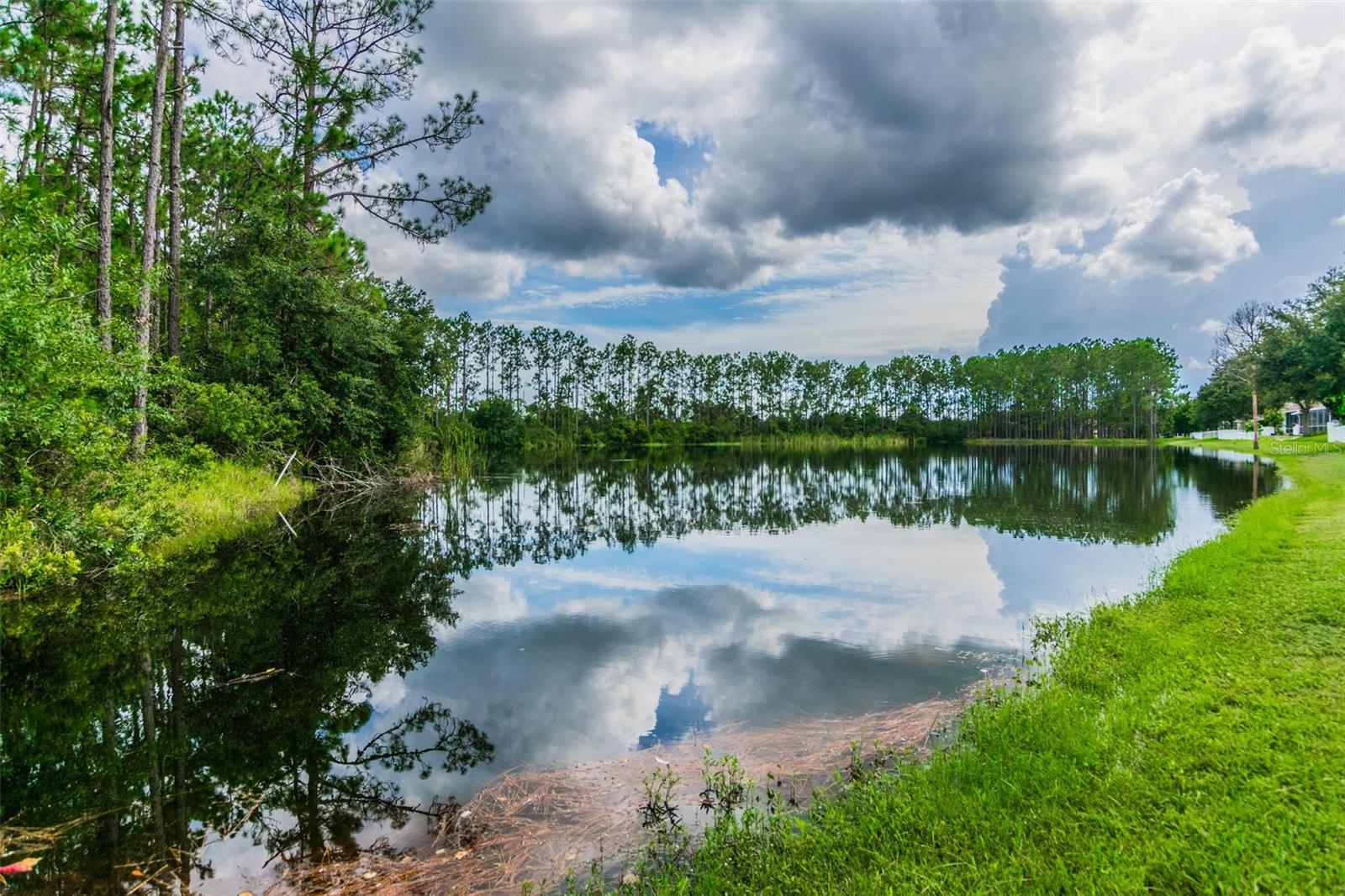 Lake Reflections