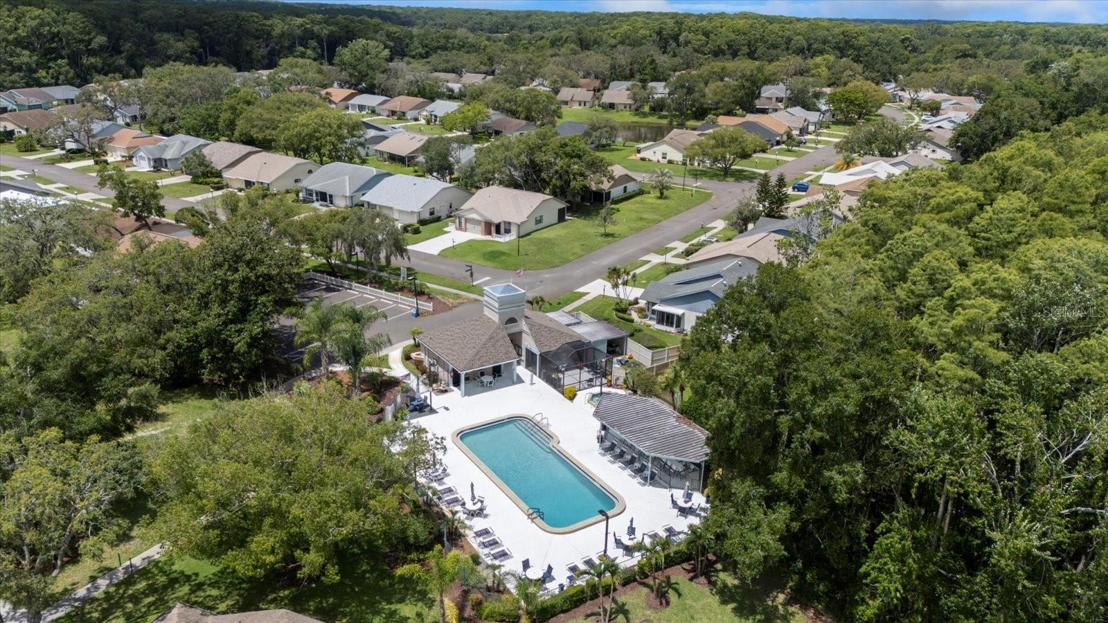 Arborwood at Summertree Community-pool(1)