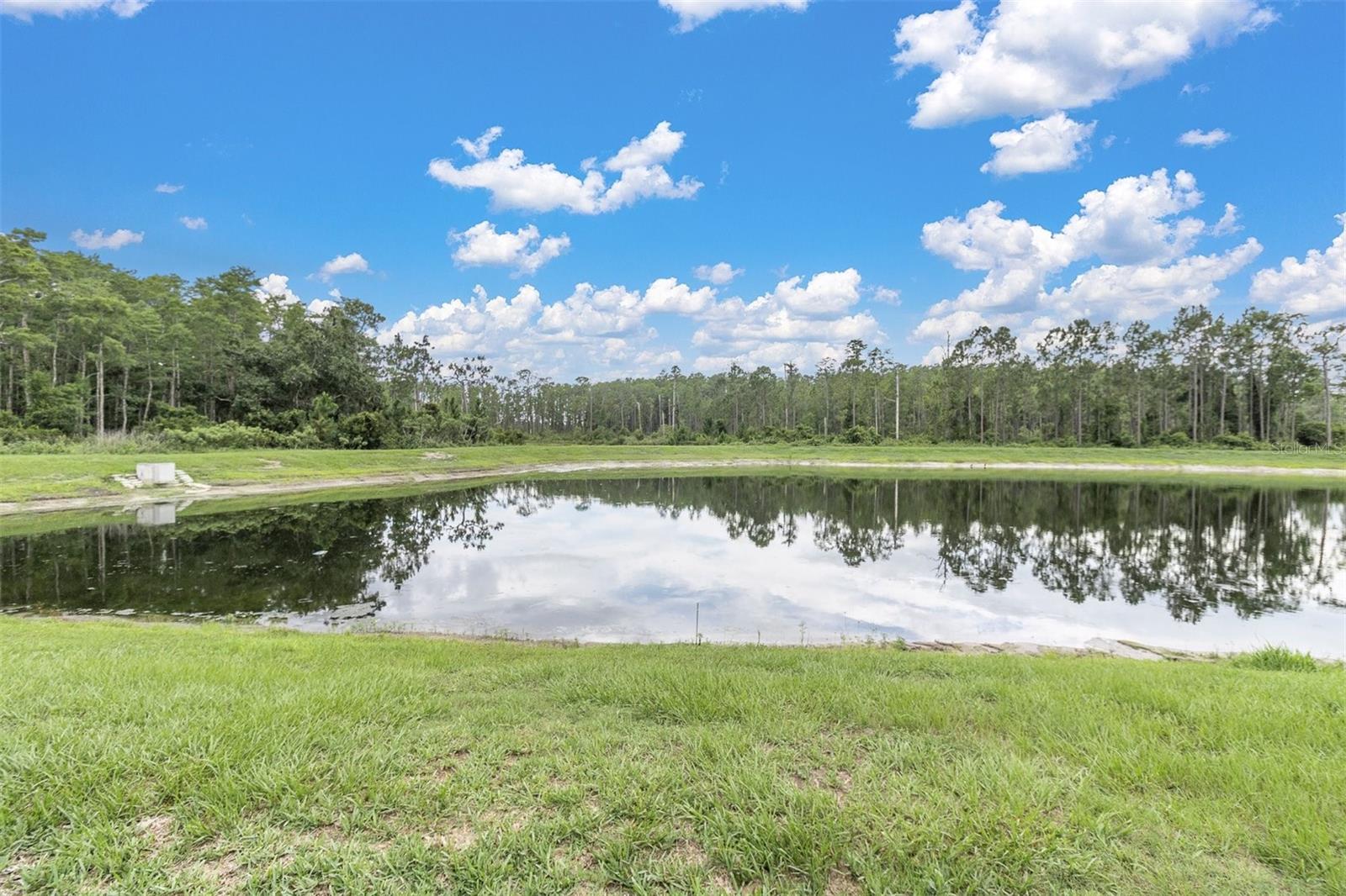 Pond & conservation