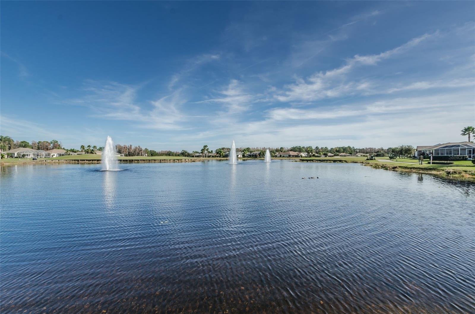 W7876617