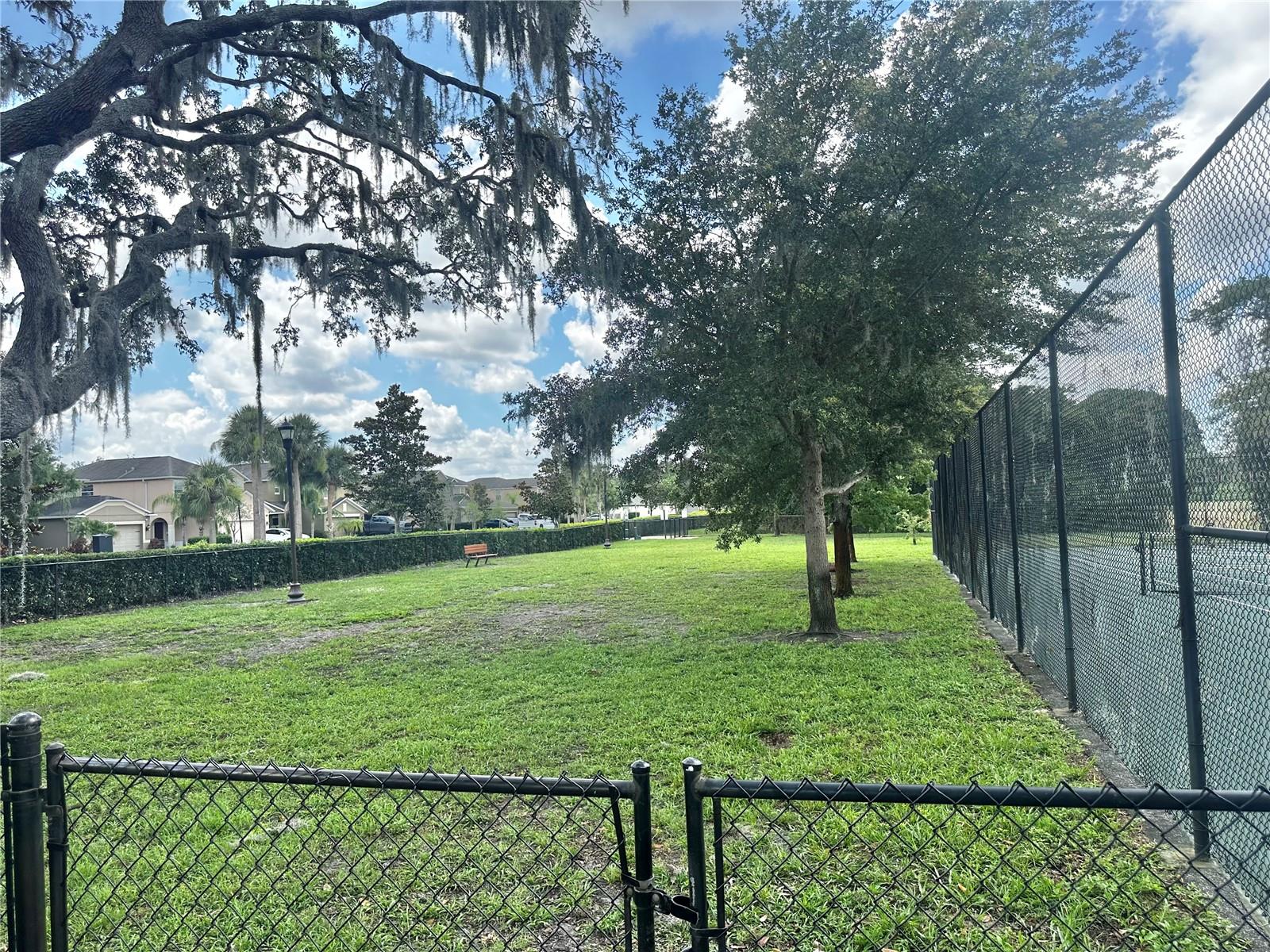 dog park