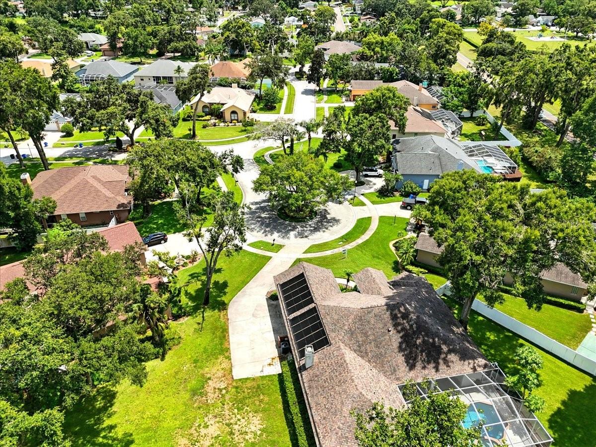 Ariel View