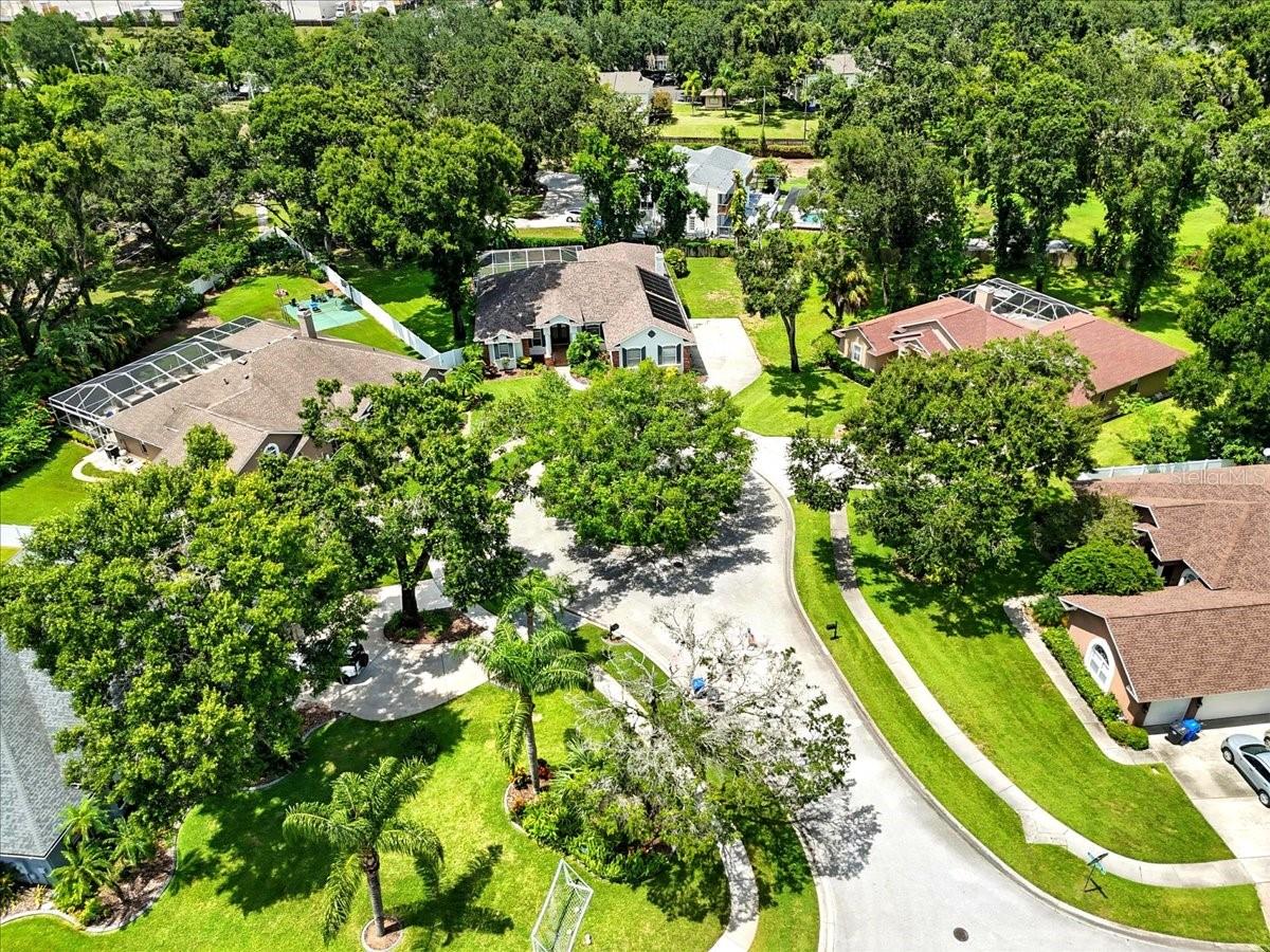 Ariel View