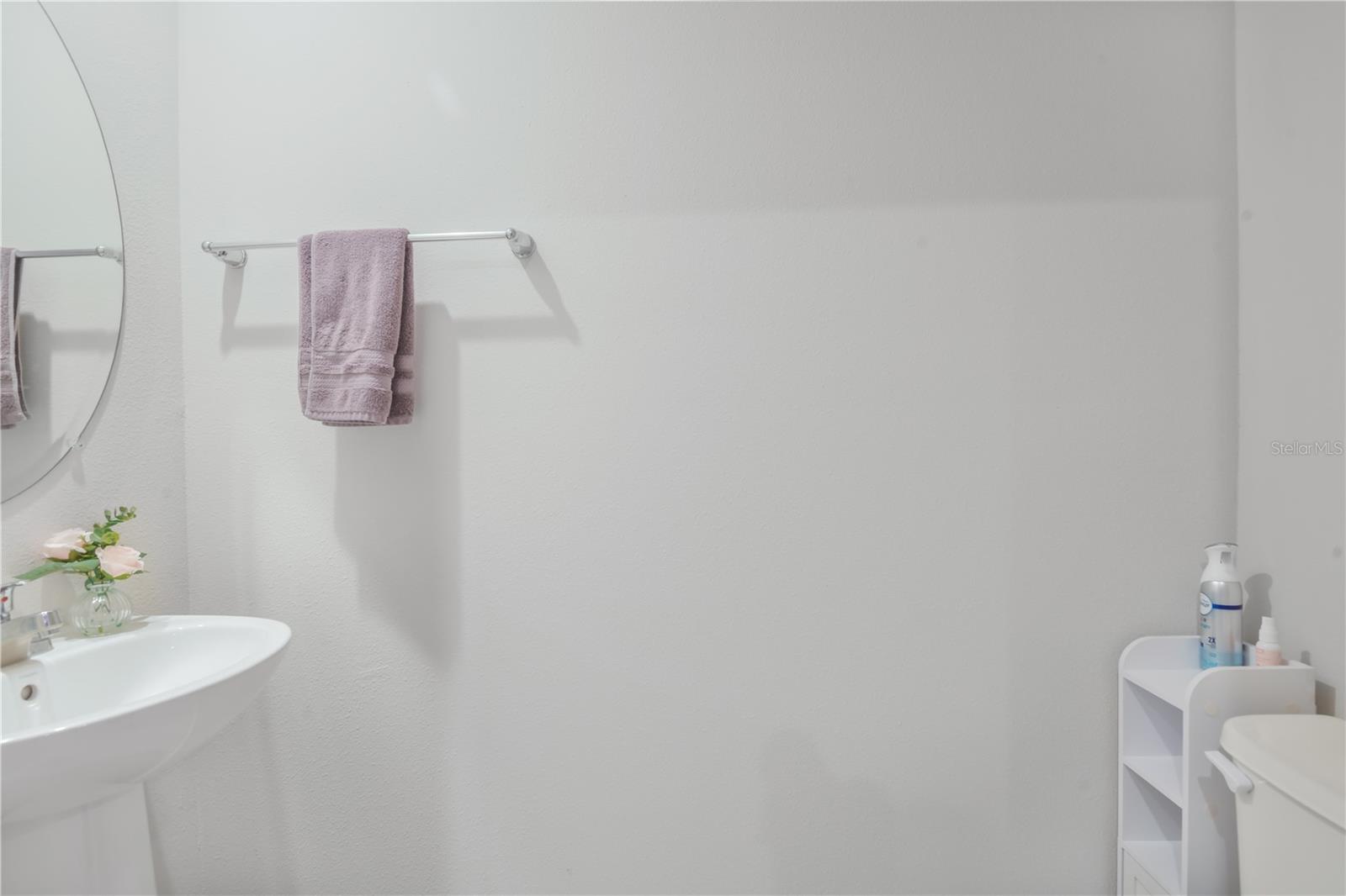 Downstairs Restroom