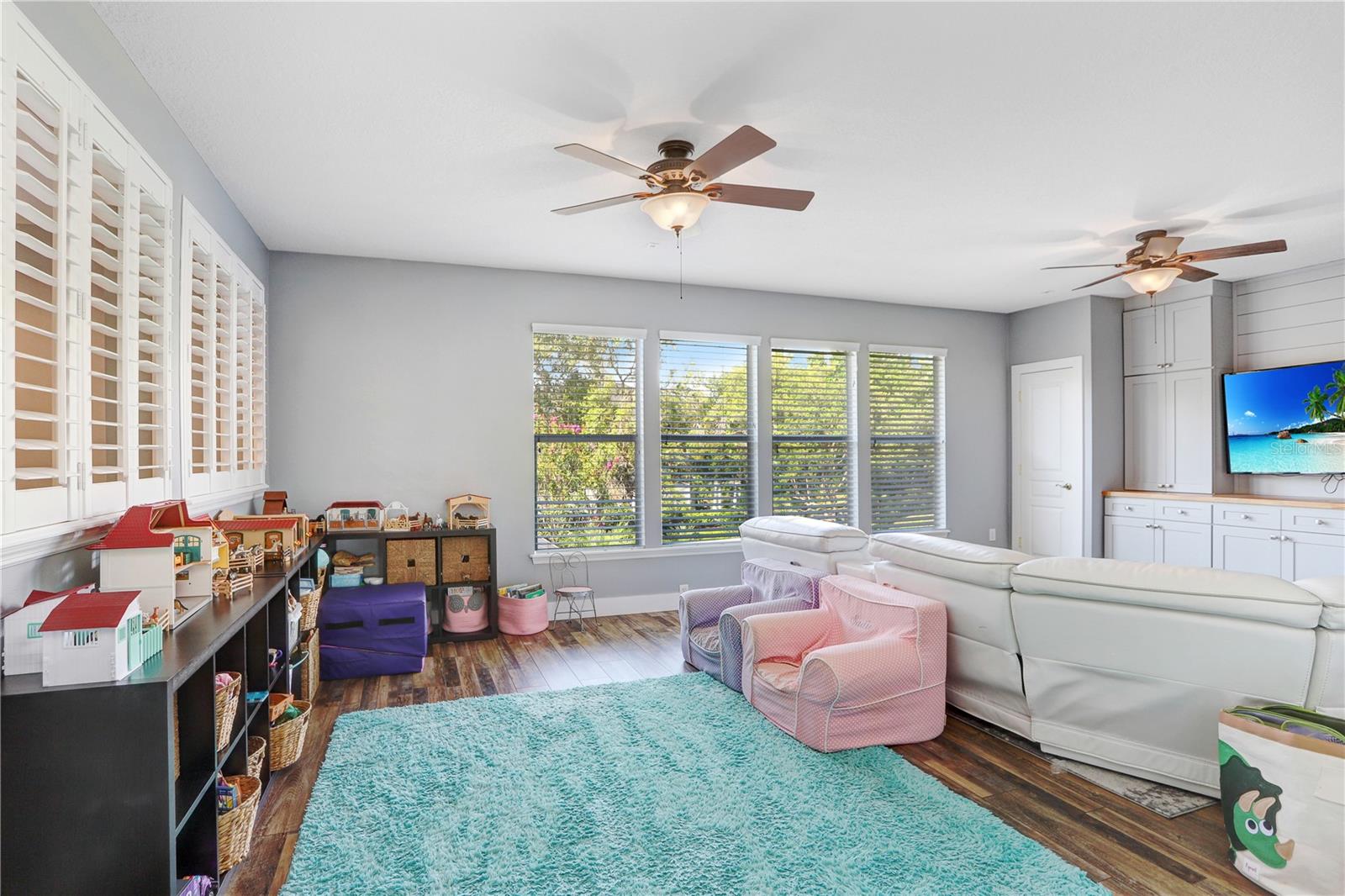 Bonus Room/Flex Space