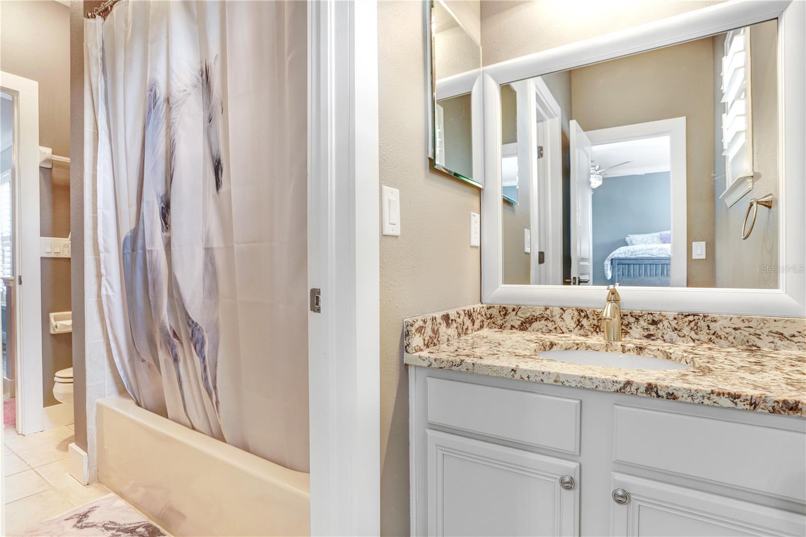 Upstairs Jack and Jill Bathroom