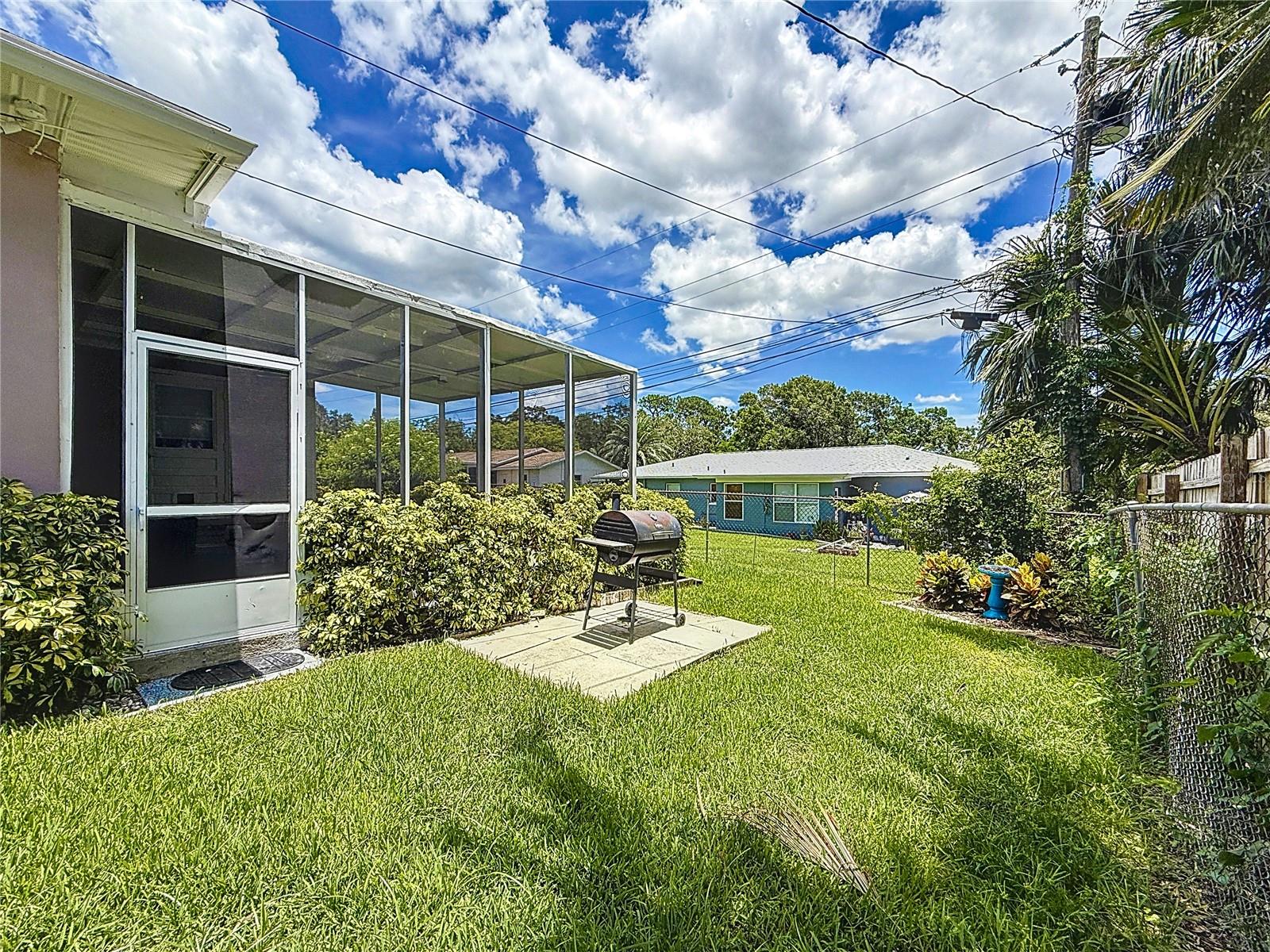Back Yard