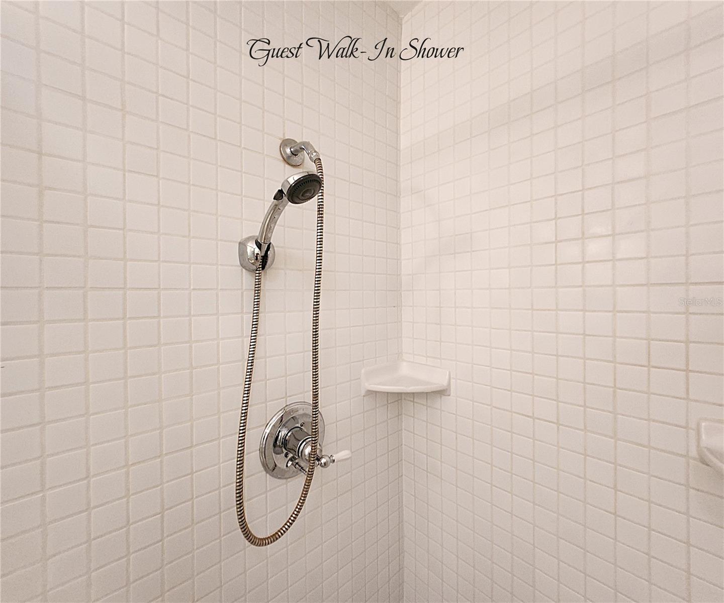 Guest Bath Tiled Walk-in Shower