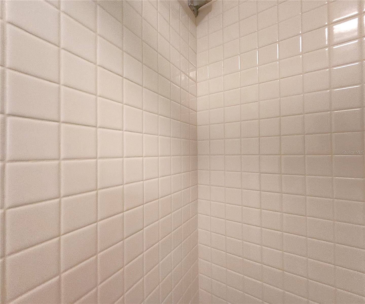 Master Shower & Tub Combo