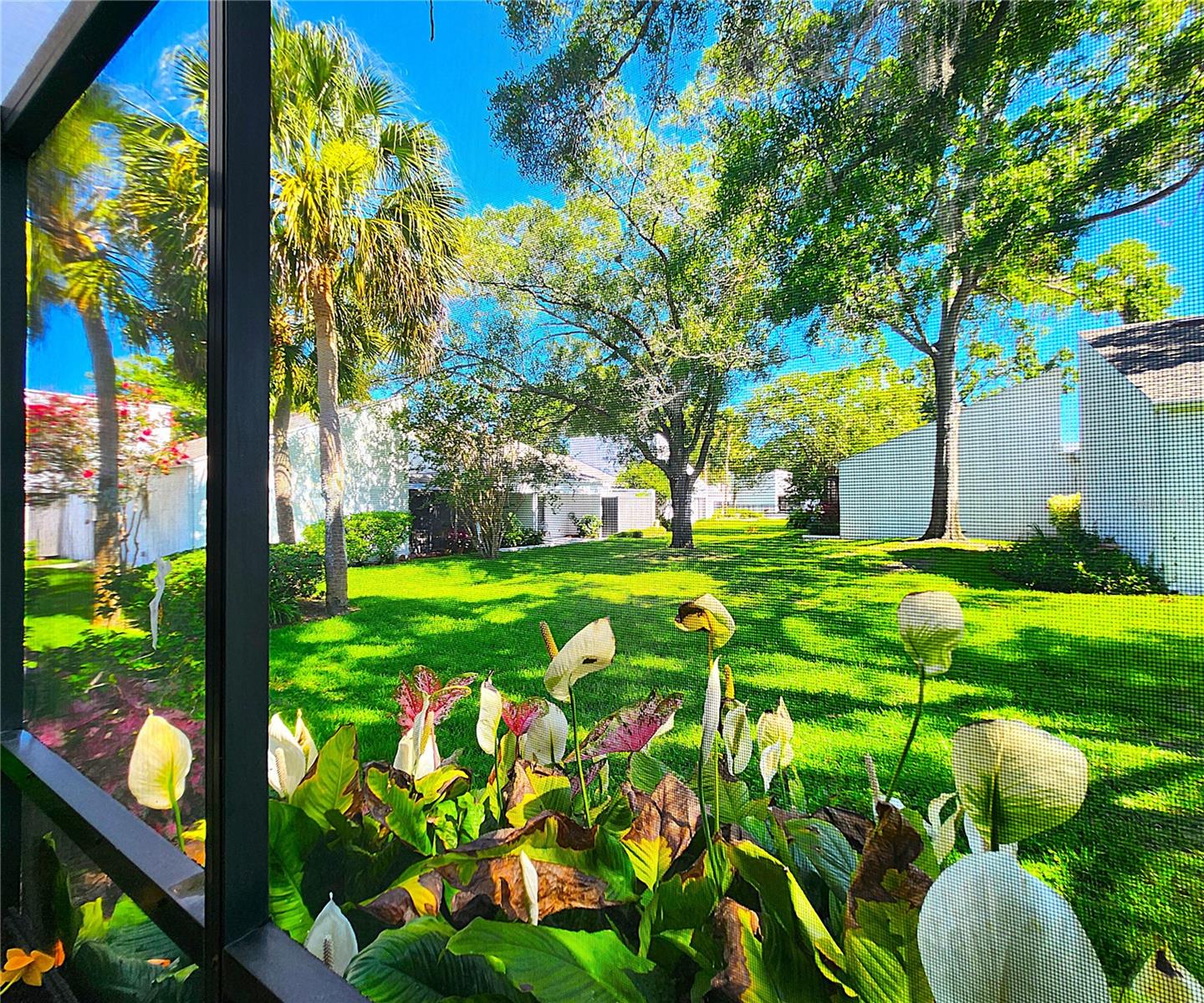 View from the enclosed Patio