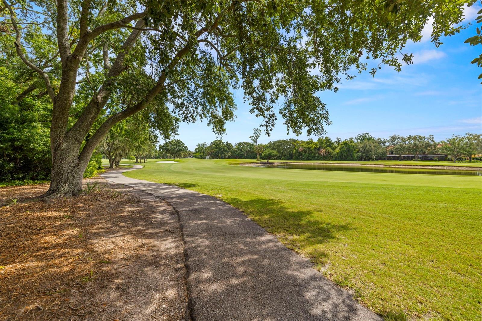 Golf Course Views