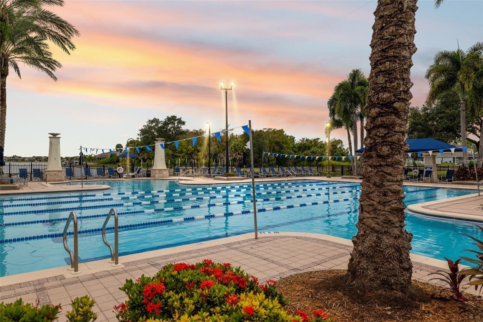 Community Lap Pool