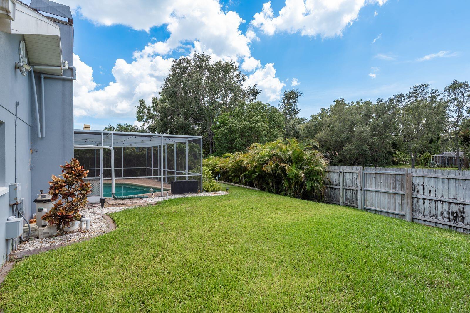 Fenced Backyard