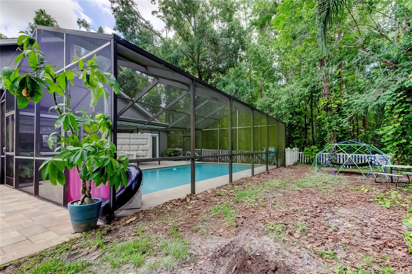 Backyard