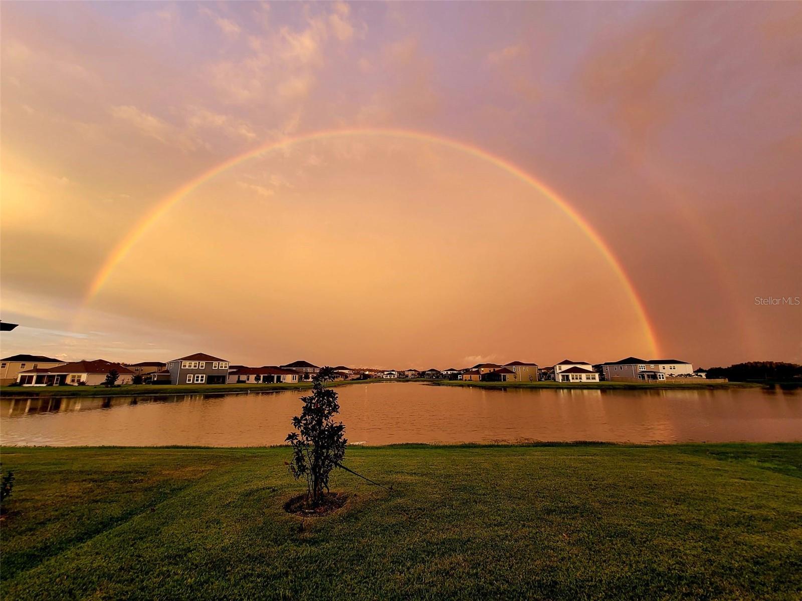This can be your dreamy backyard view!!