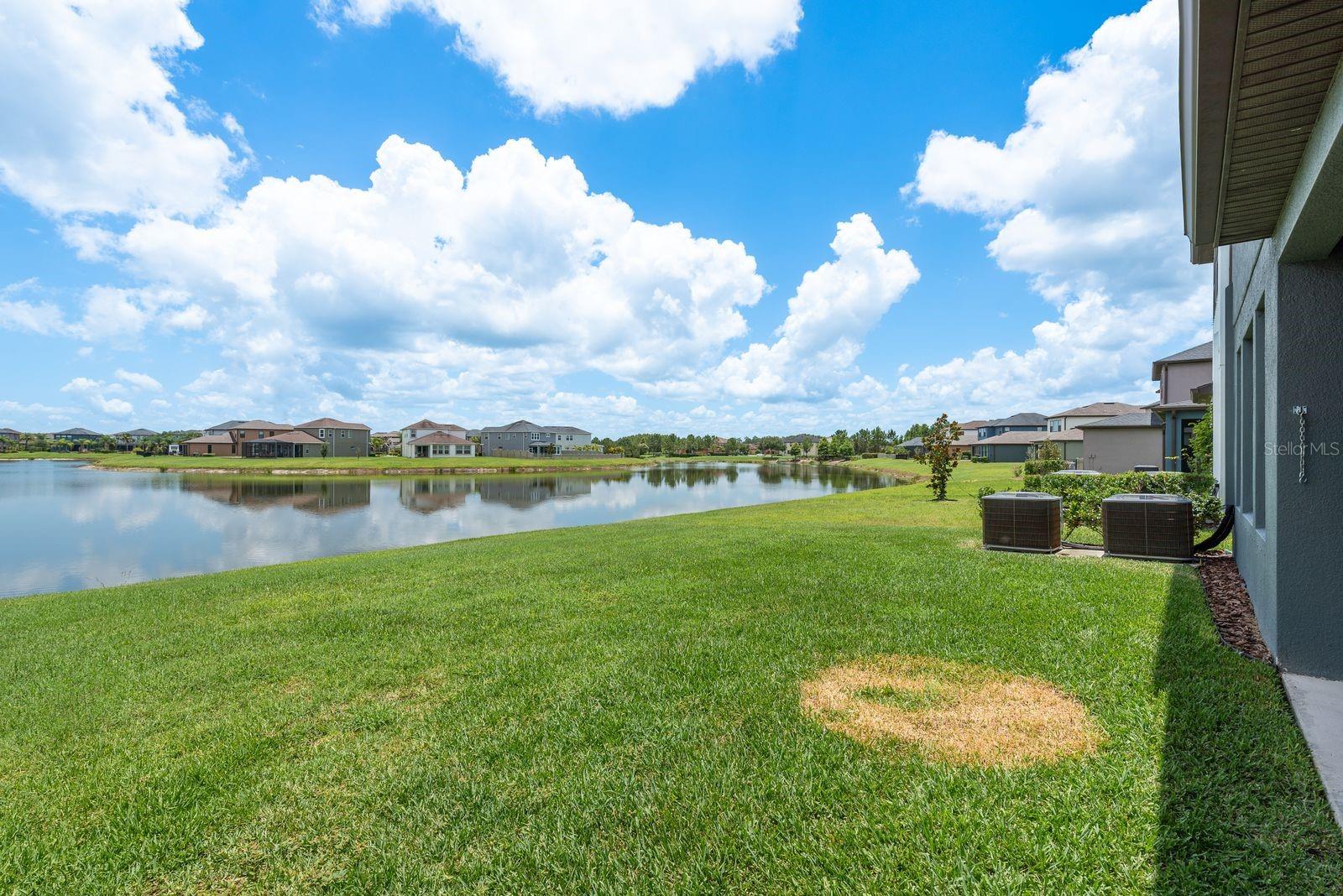 Very spacious backyard