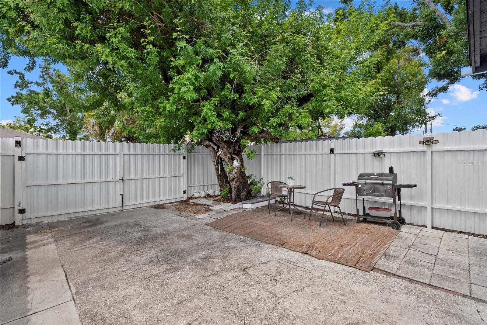 Private rear yard with parking and private gate access from alley for Studio Apt