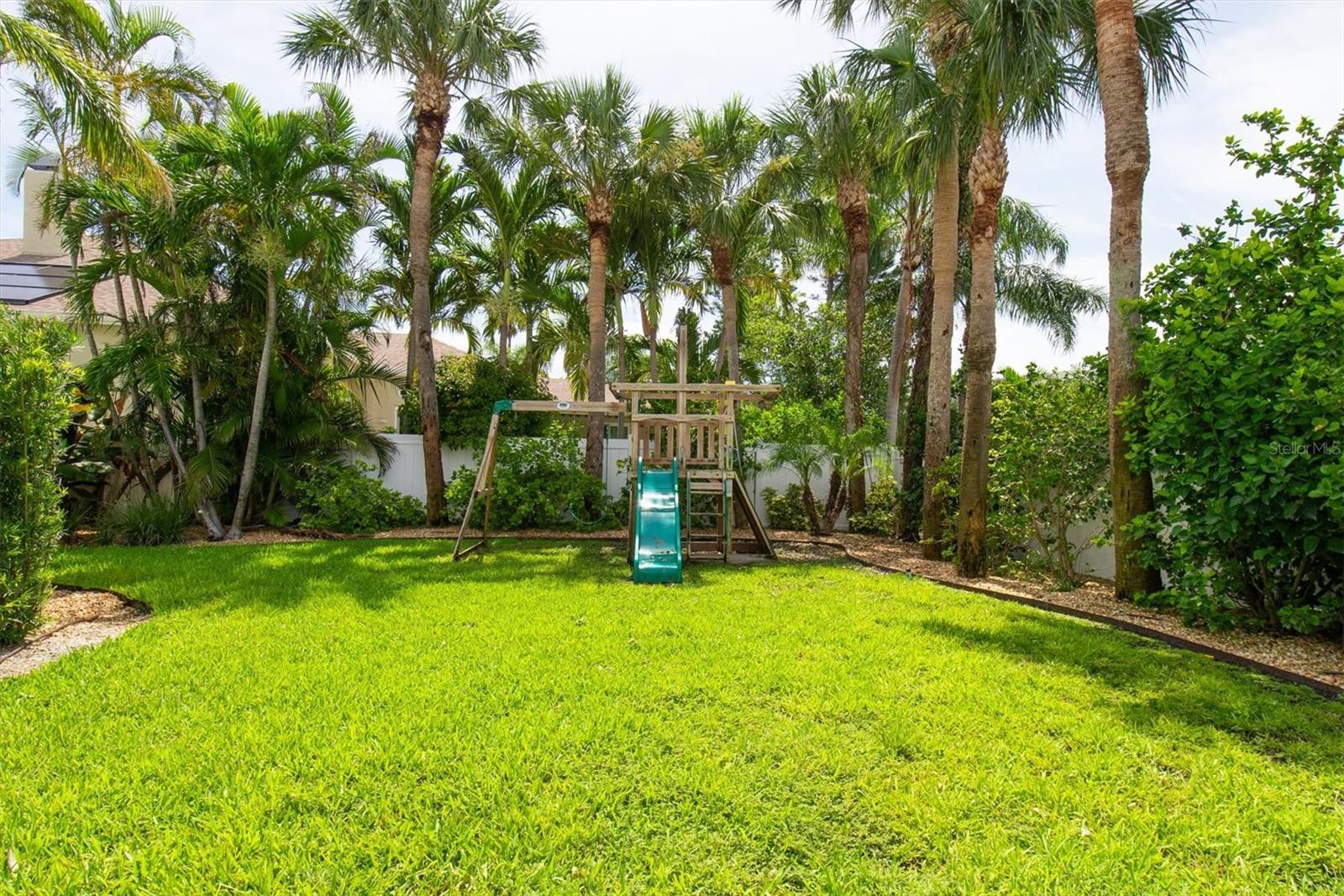 Backyard