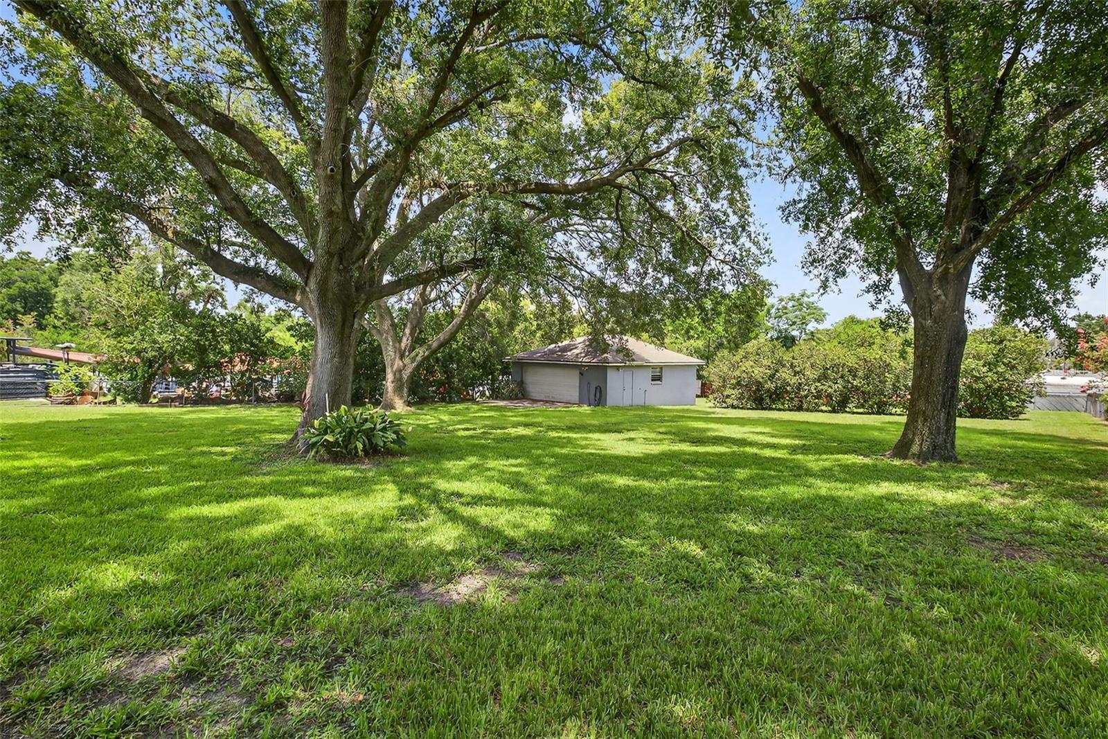Backyard with Detached Garage