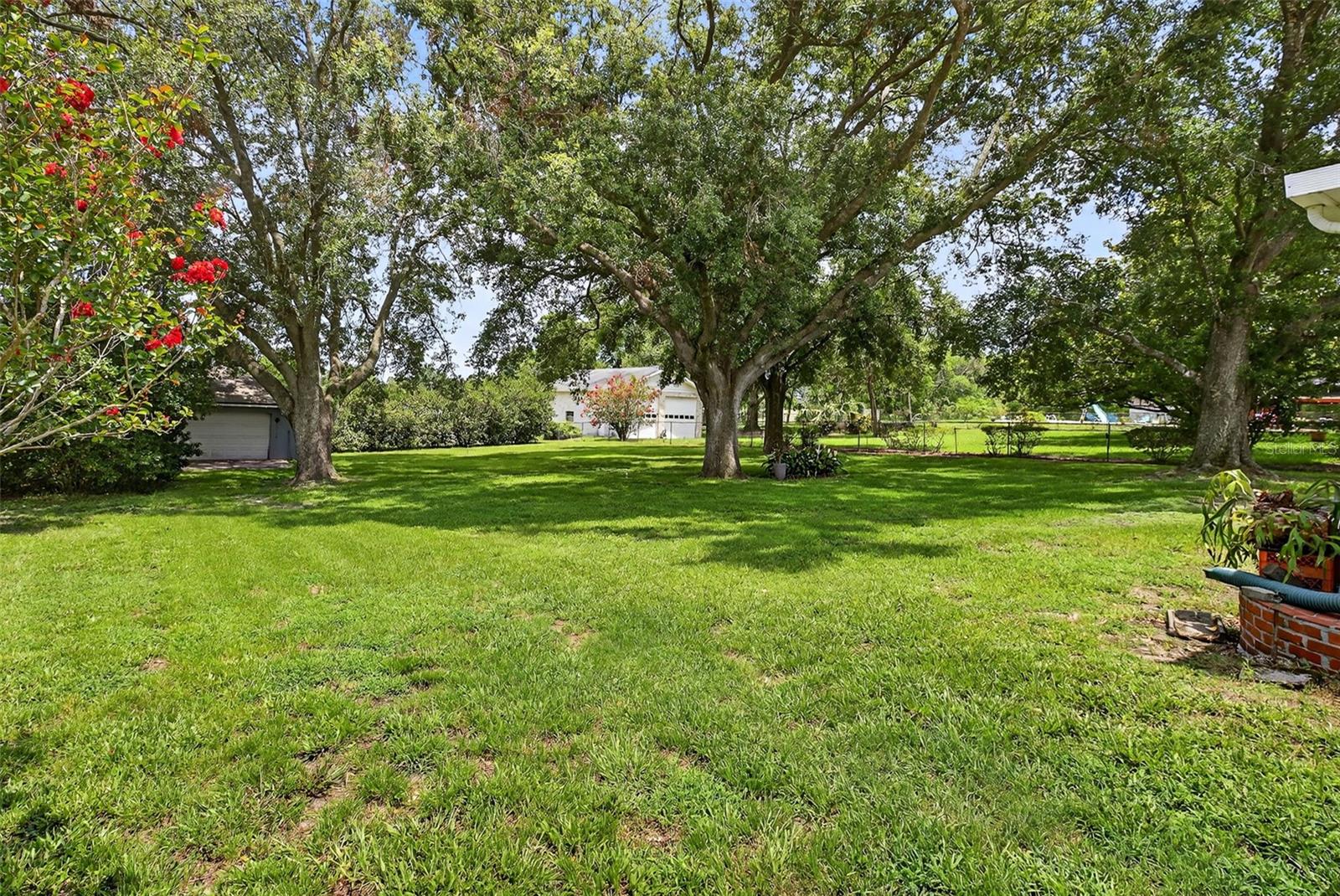 Backyard