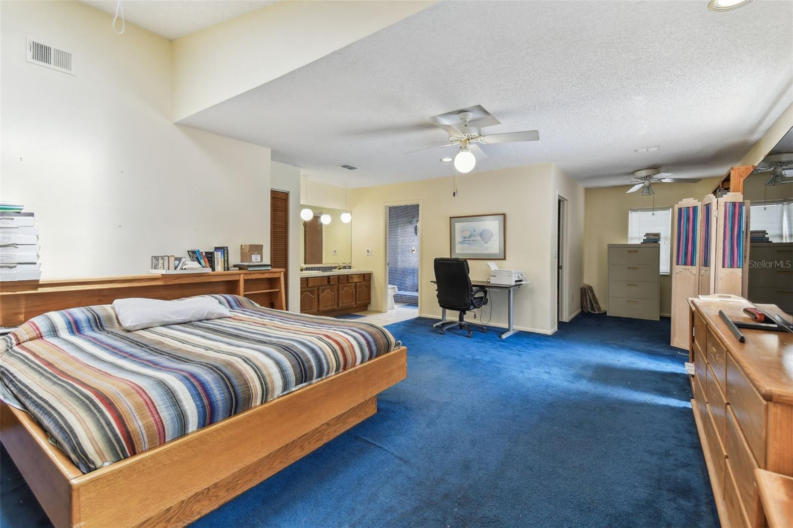 HUGE Primary Bedroom