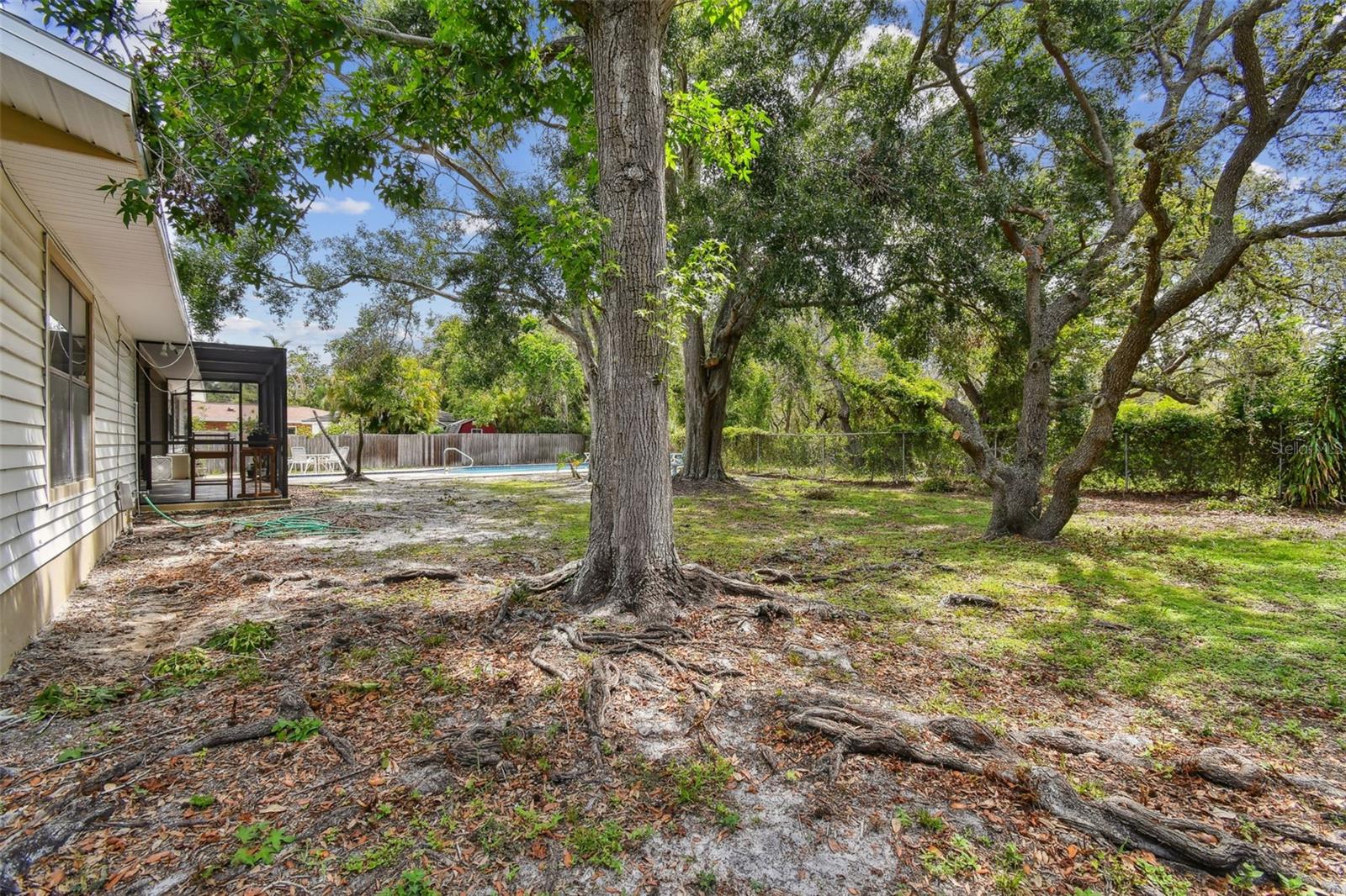 Backyard