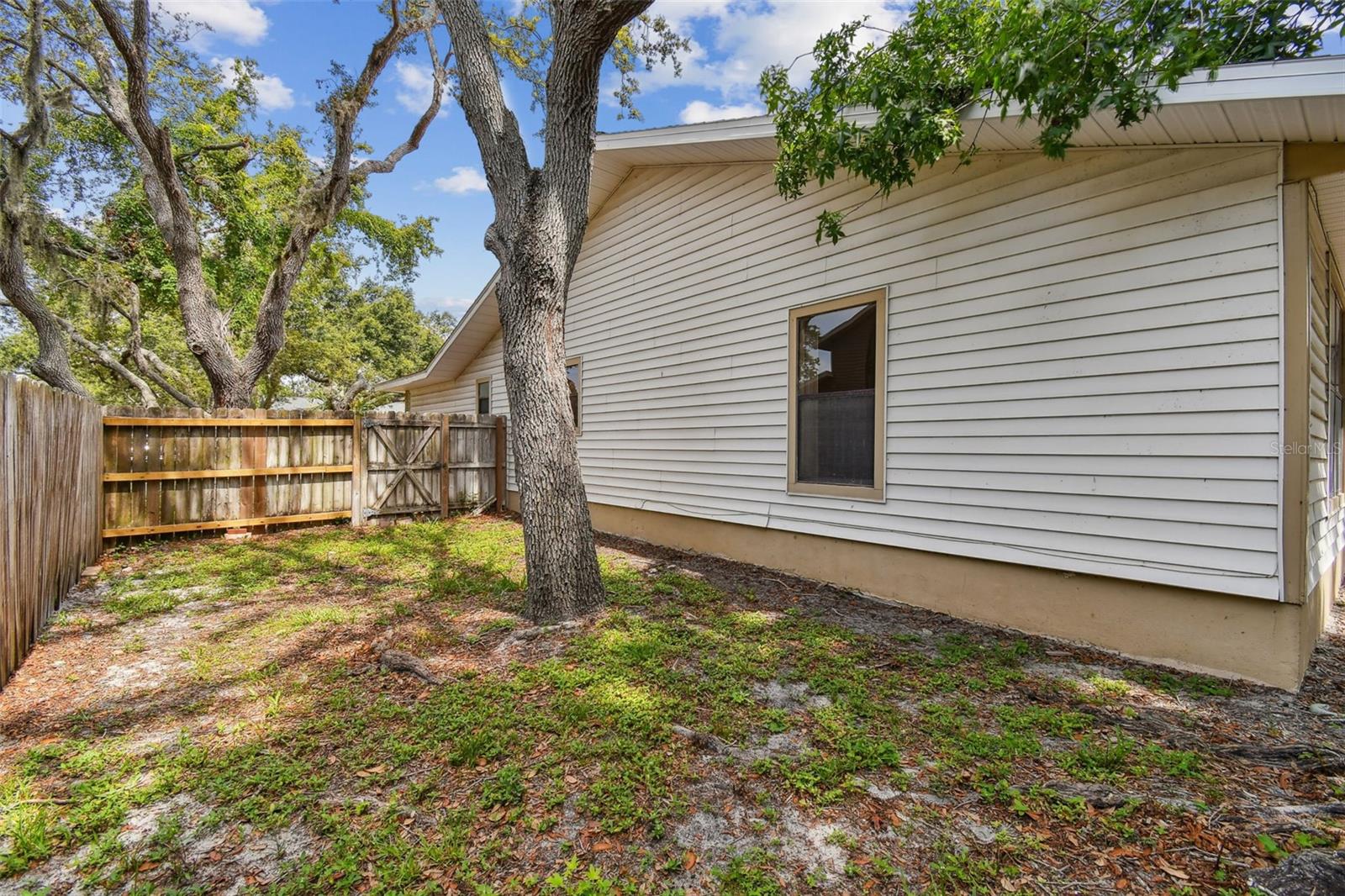 Side Yard
