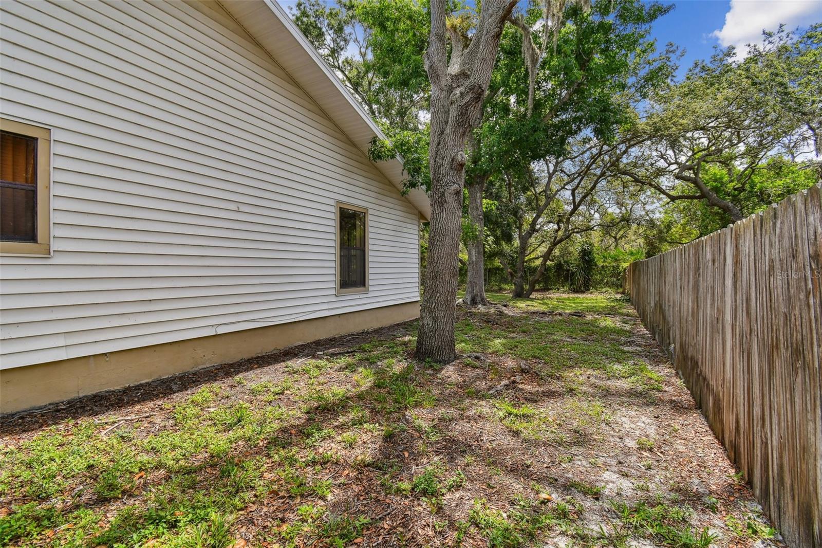 Side Yard