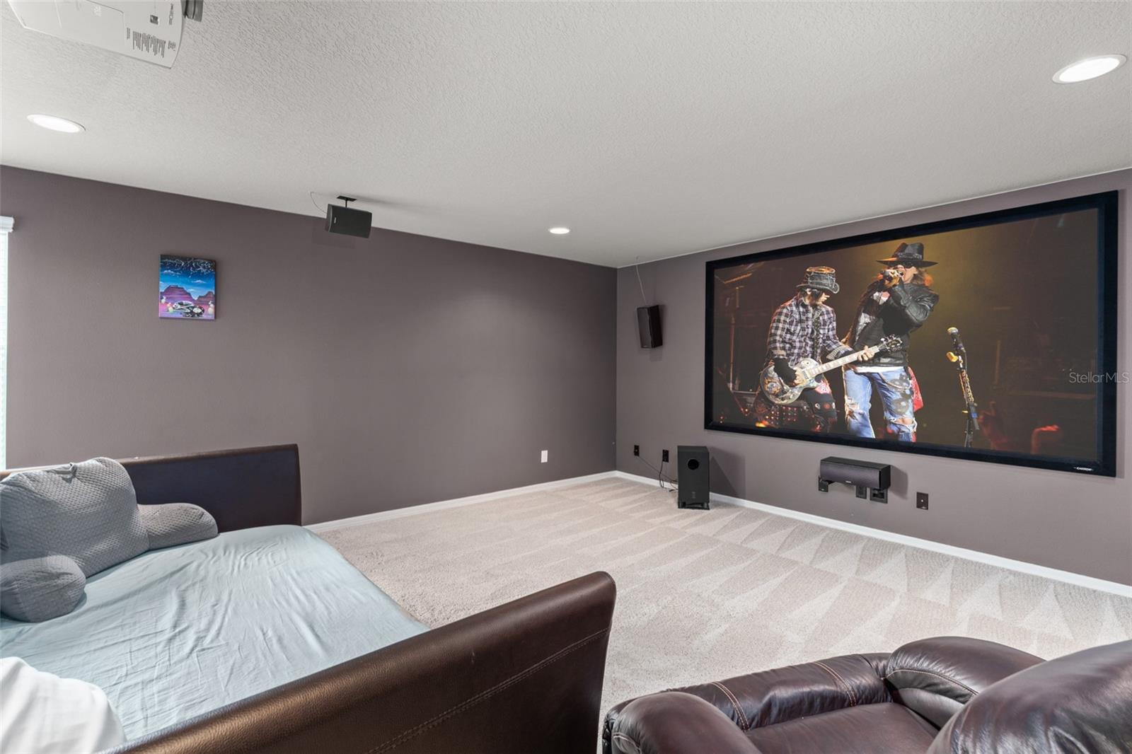 Theater room! Perfect for movie night or the big game!