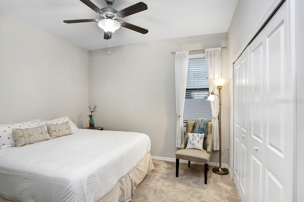 bedroom 2 / guest room / carpeted