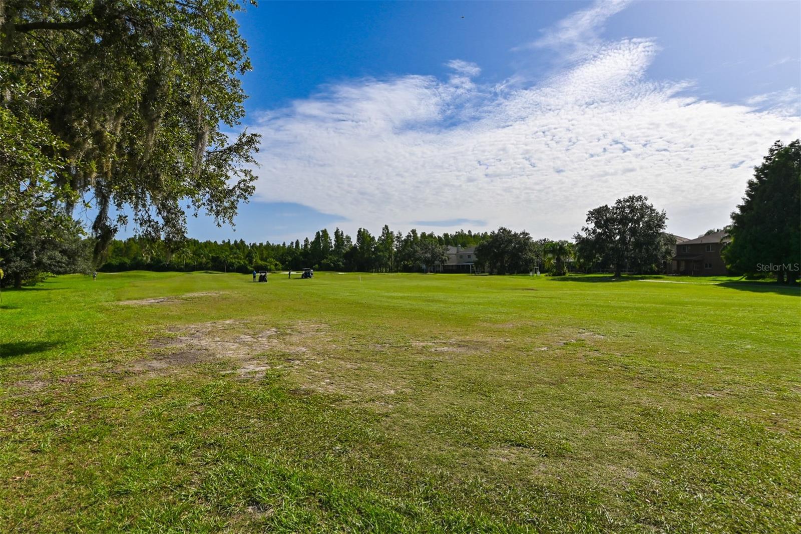View from backyard looking to the left