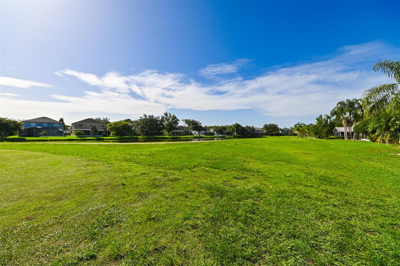 View from backyard looking to the right