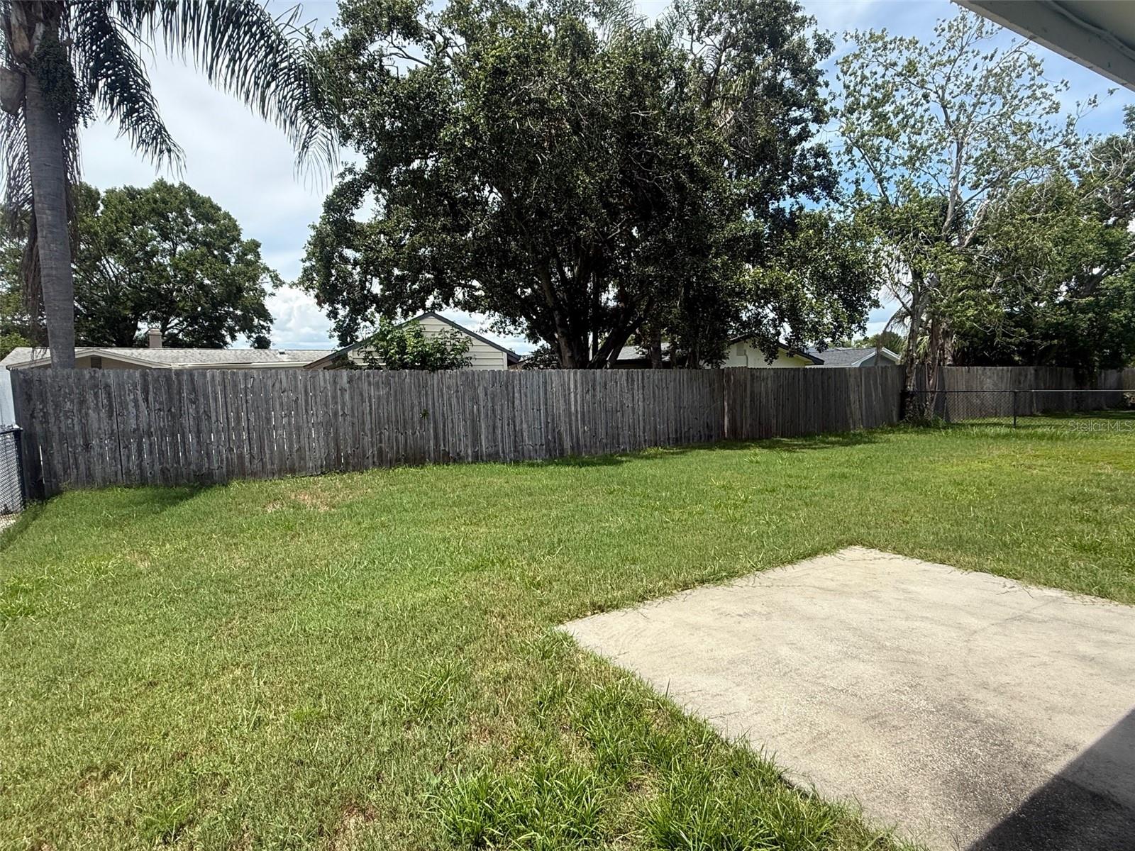 Huge Backyard