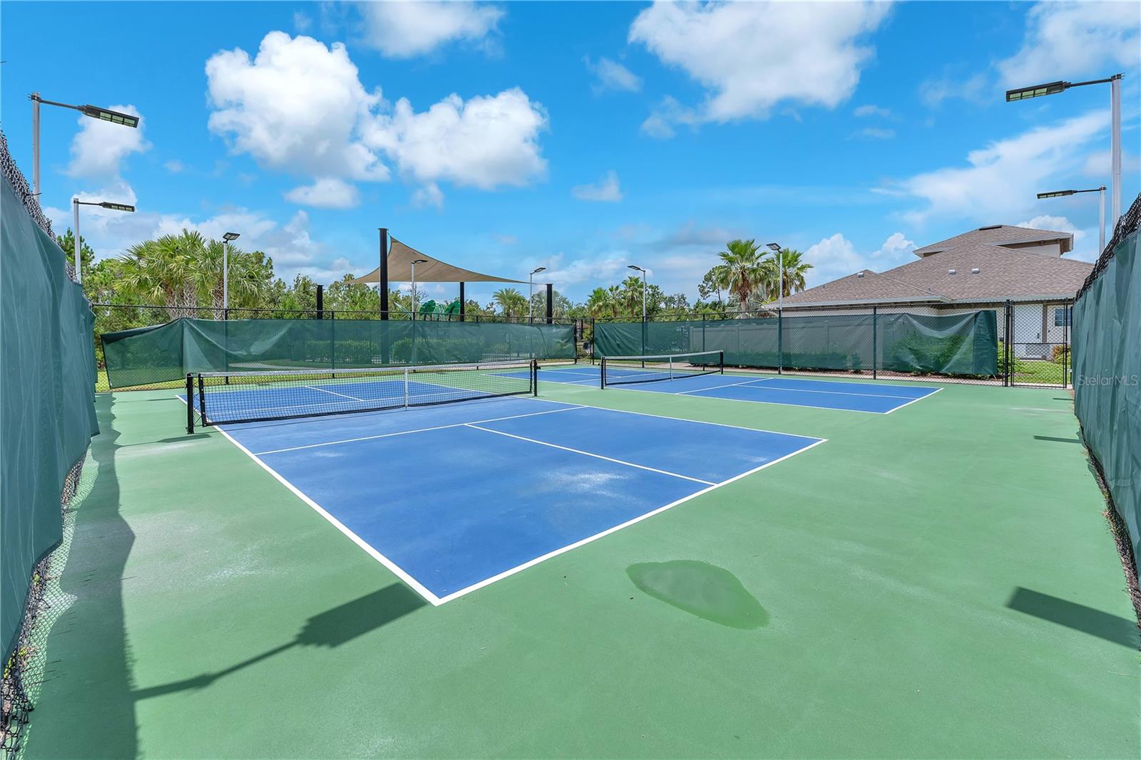 Pickle ball anyone?